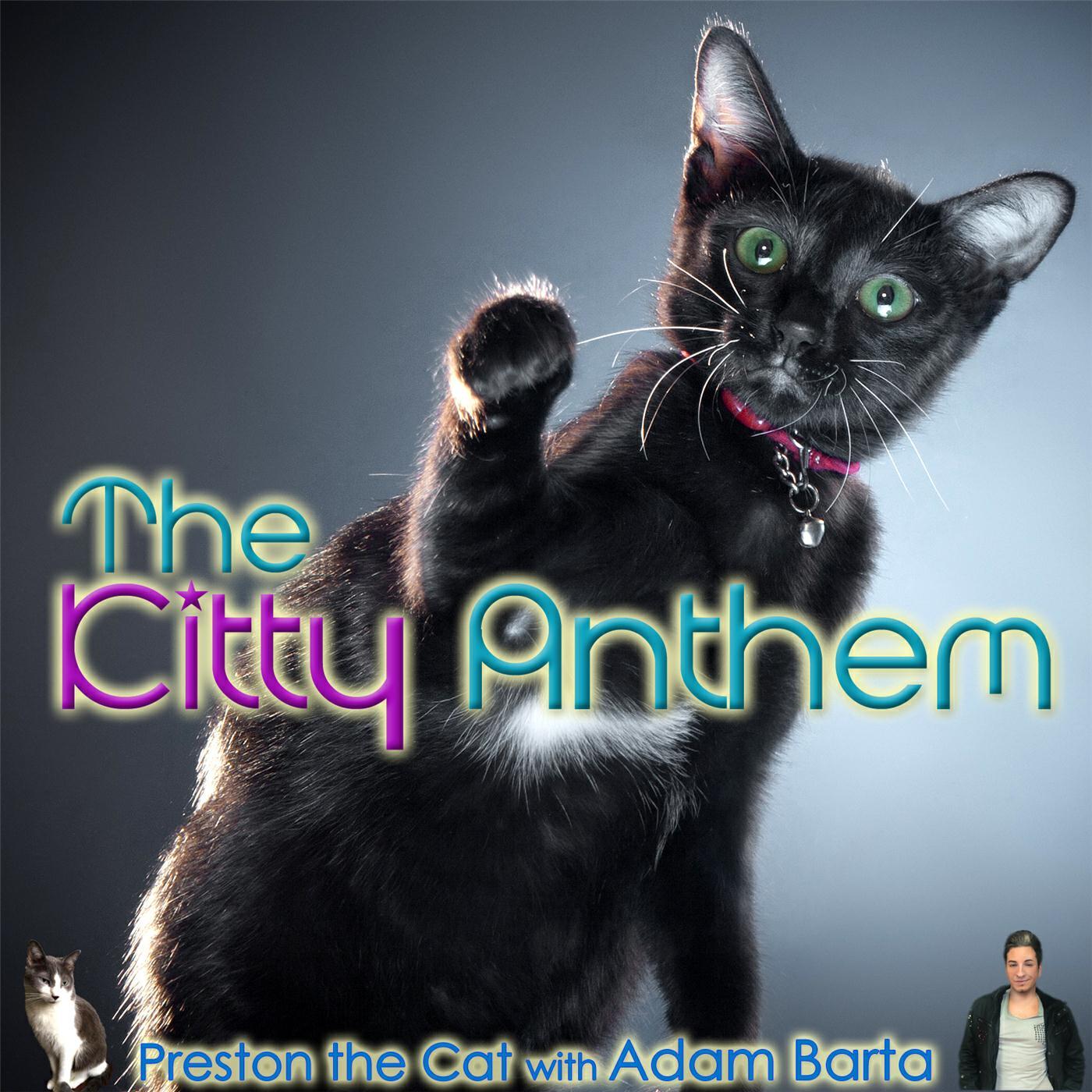 Релиз The Kitty Anthem