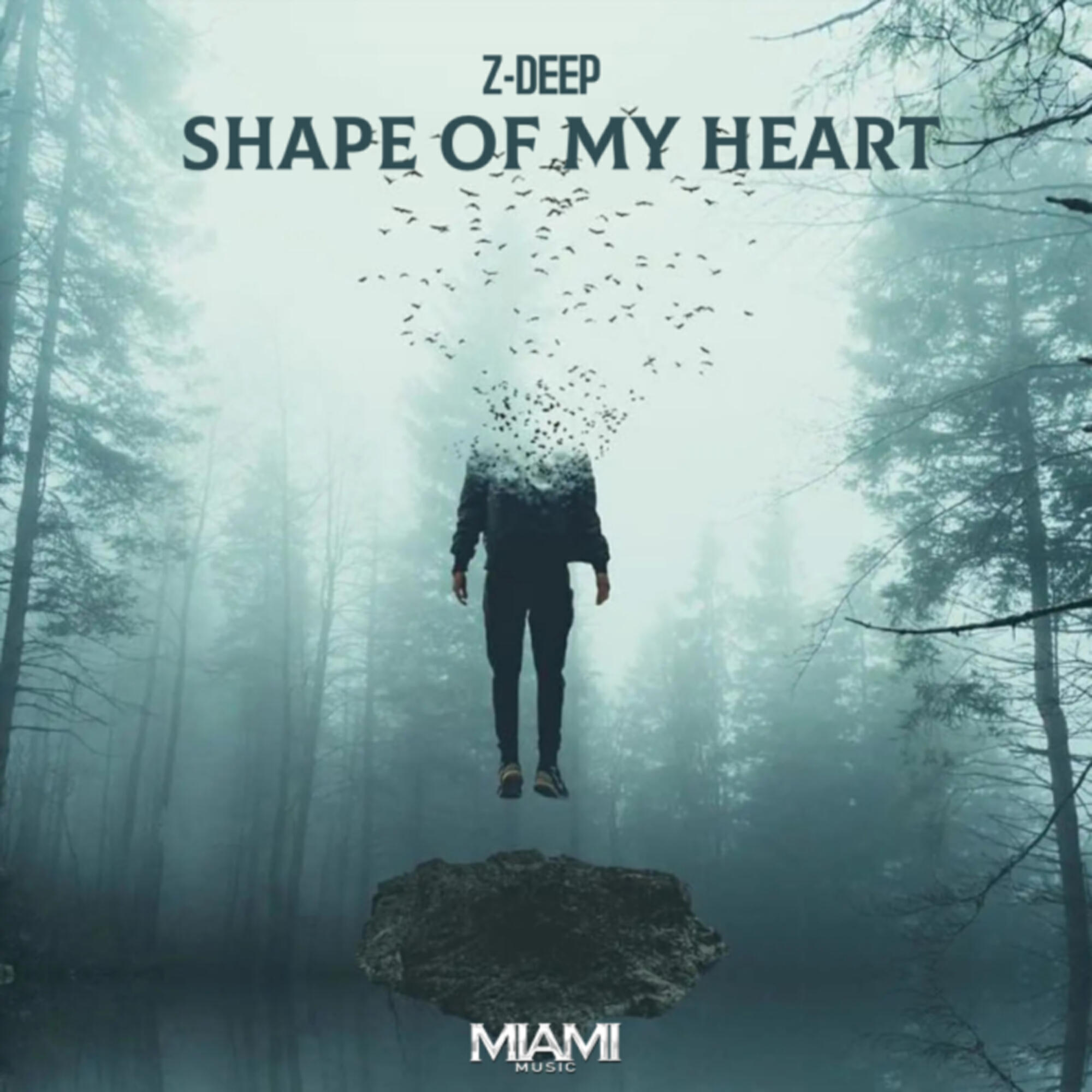 Релиз Shape of My Heart