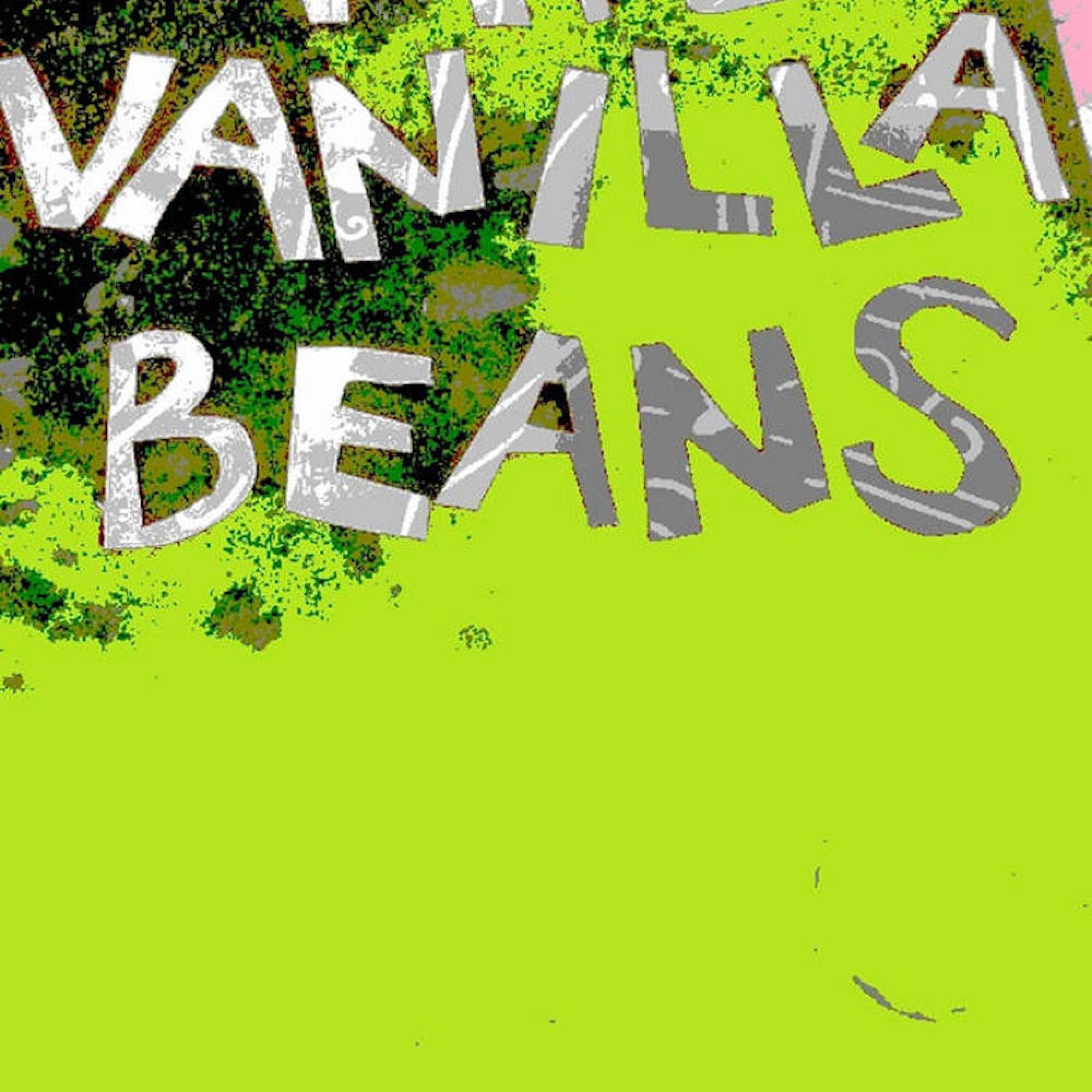 Релиз V-Beans Monthly 2