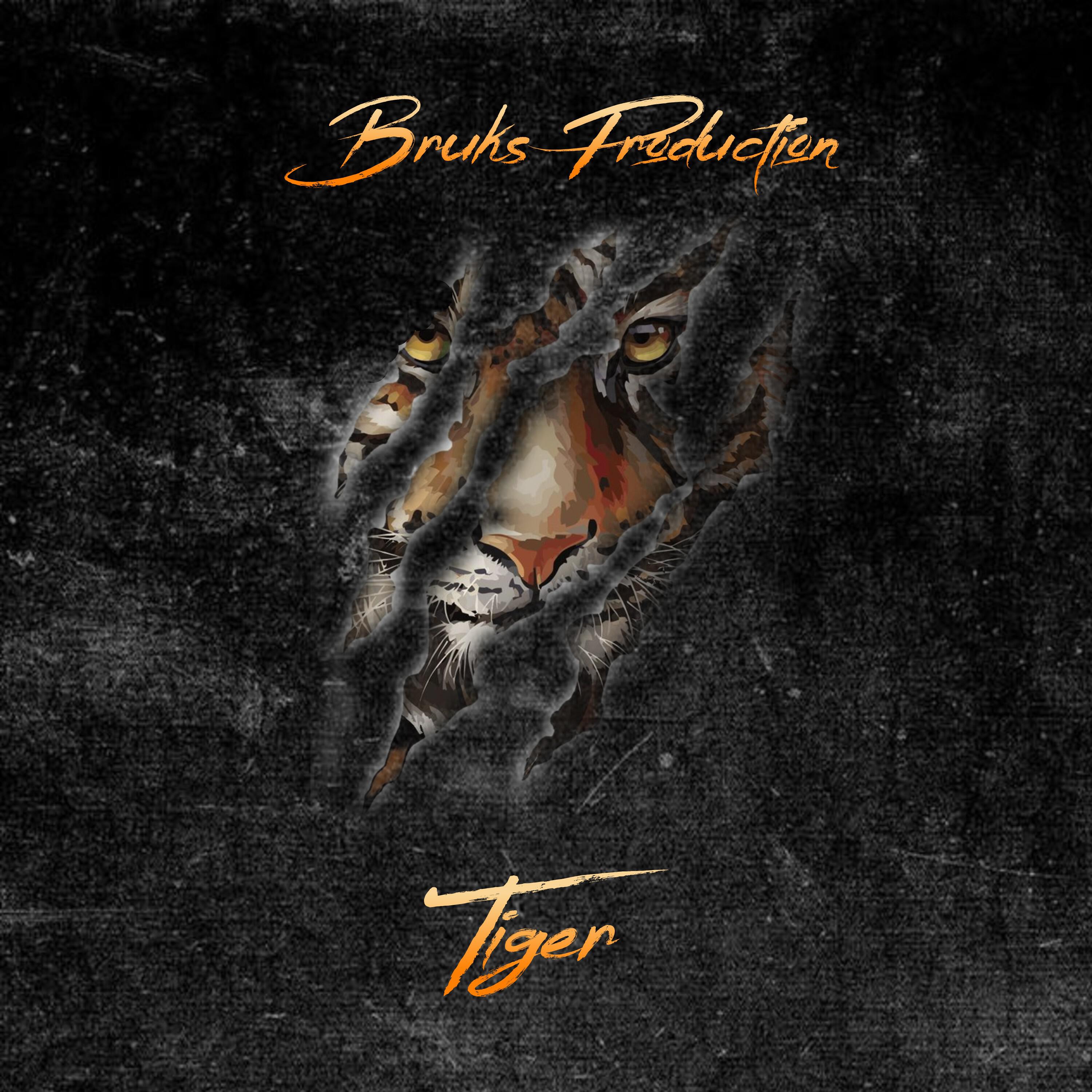 Релиз Tiger