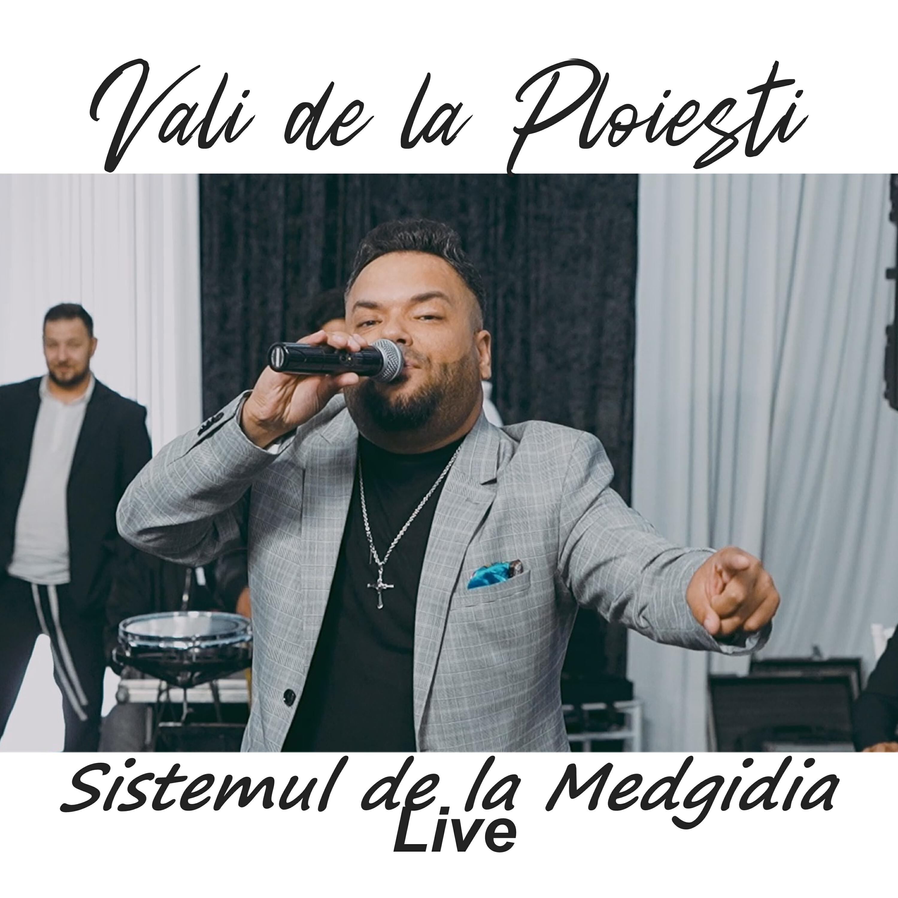 Релиз Sistemul de la Medgidia