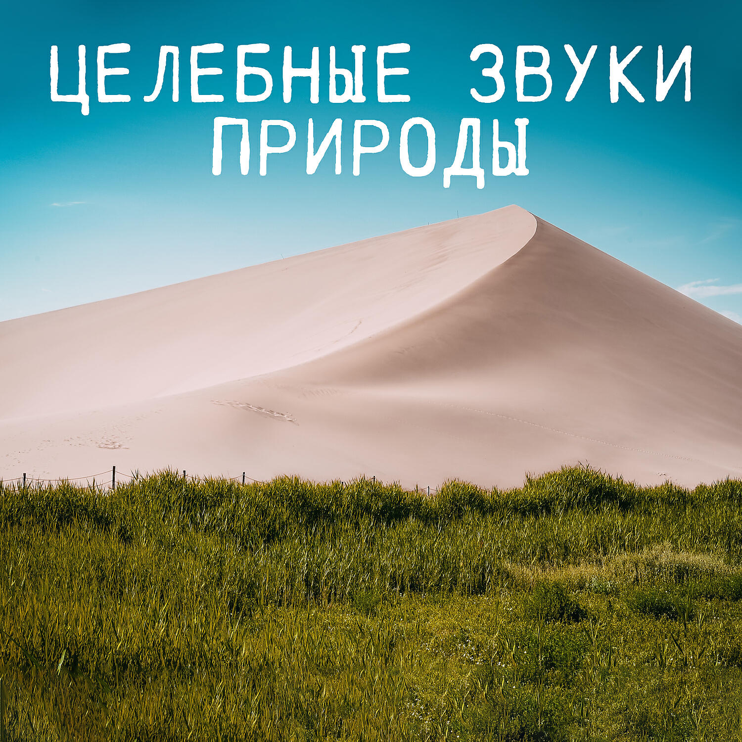 Релиз Целебные звуки природы: Успокаивающая музыка для спать, Утренняя йога, Духовная медитация, Снижение стресса