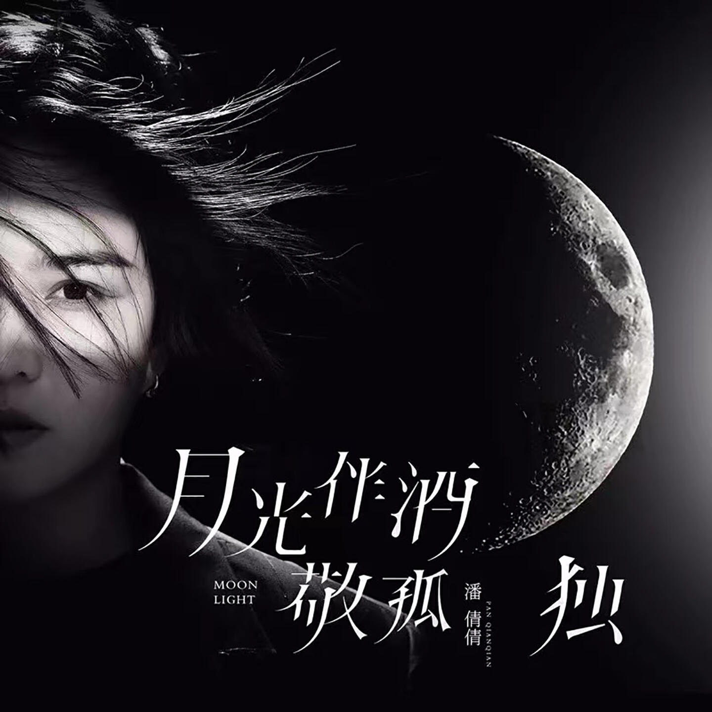 Релиз 月光伴酒敬孤独