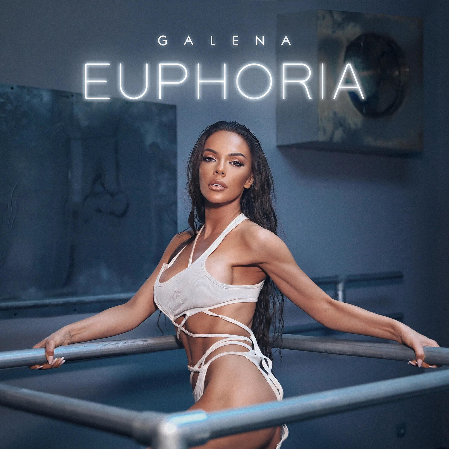 Релиз Euphoria