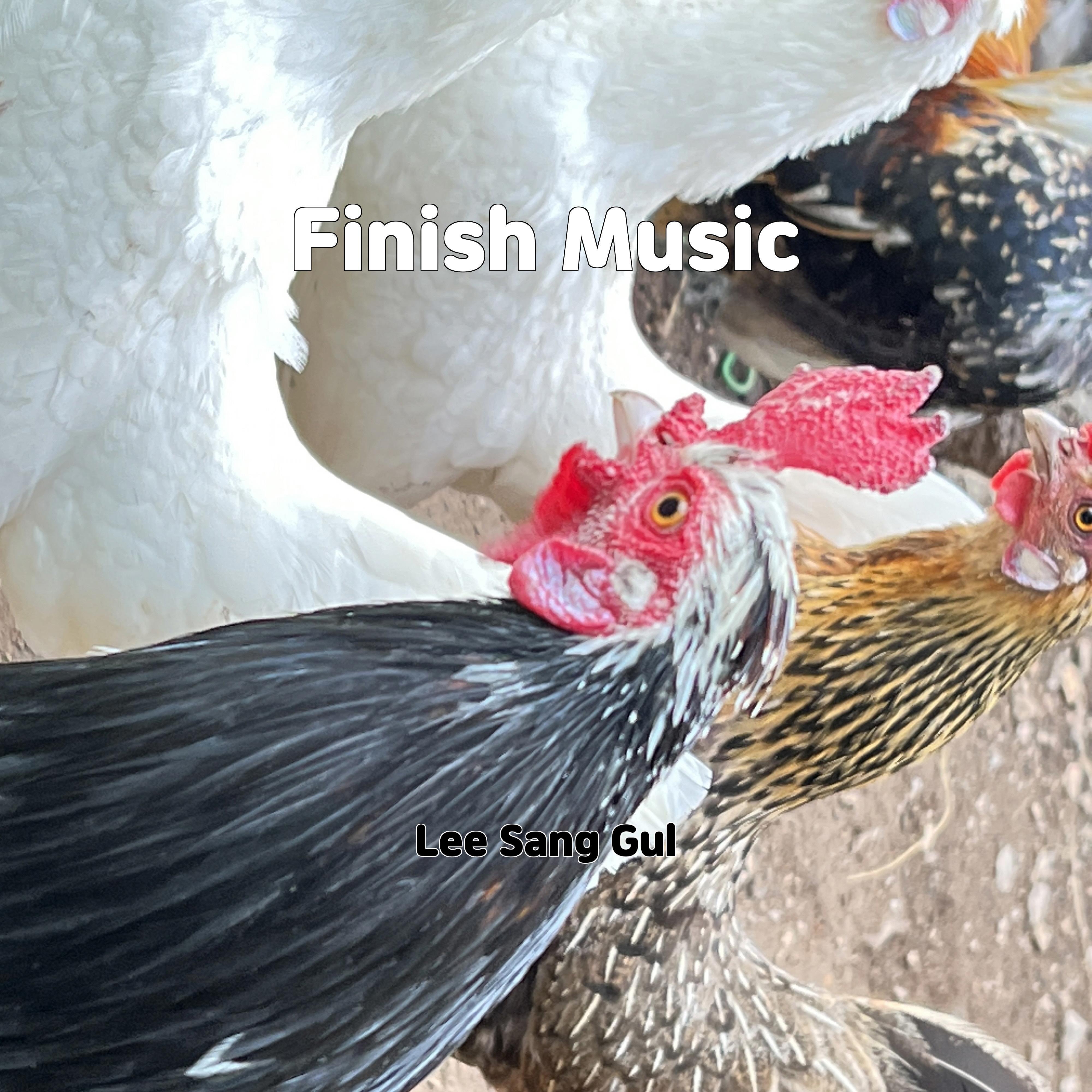 Релиз Finish Music