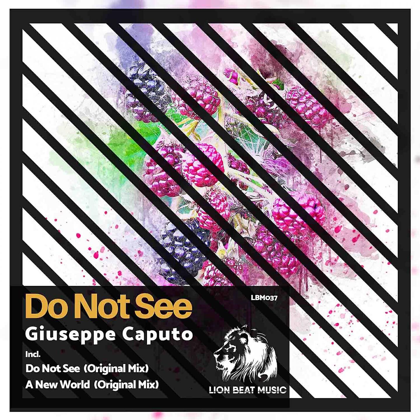 Релиз Do Not See