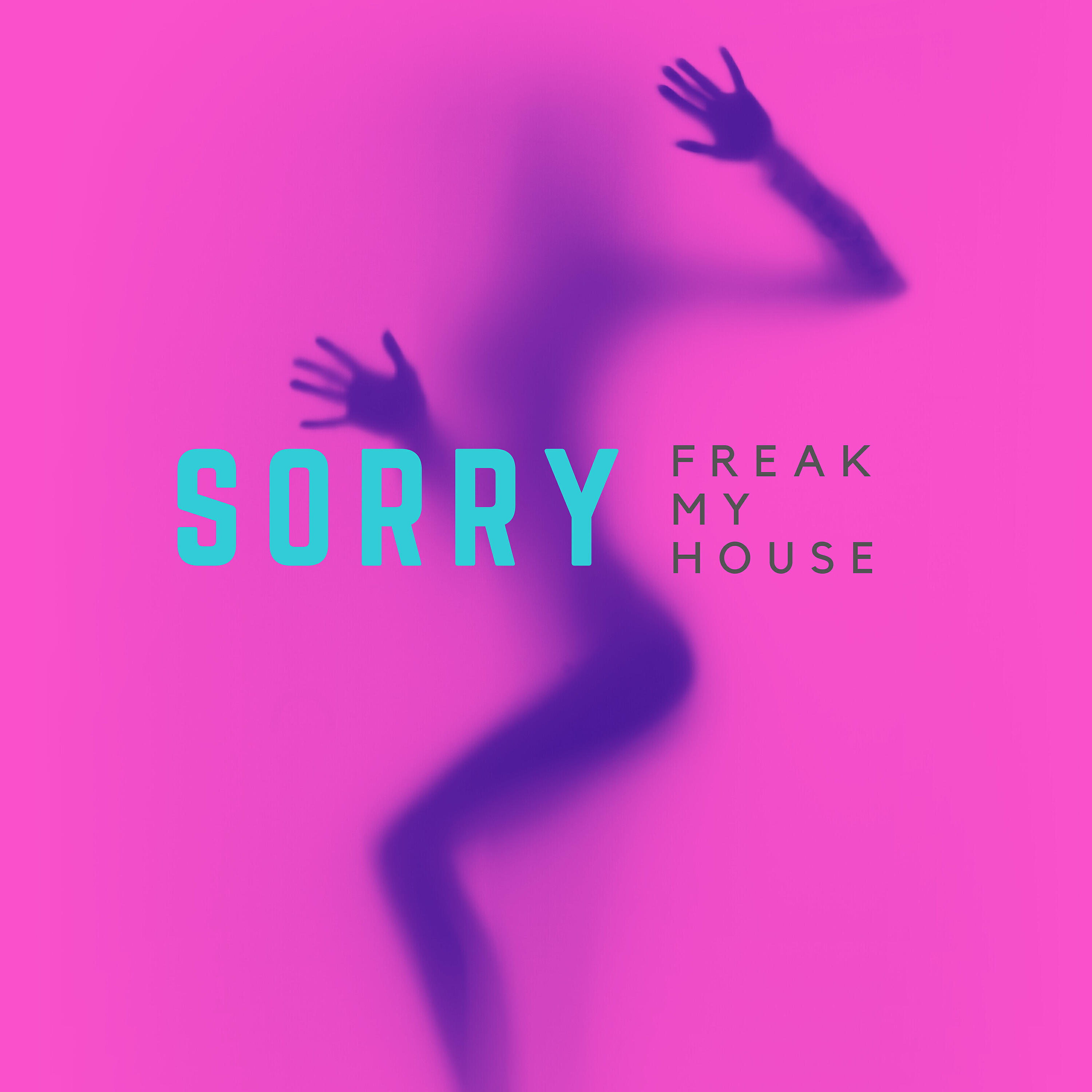 Релиз Sorry (Chicks Gone Wild Remix)