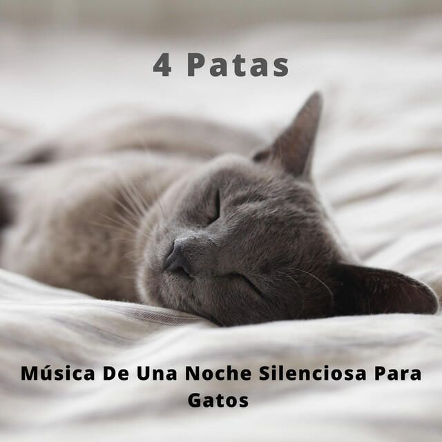 Релиз 4 Patas: Música De Una Noche Silenciosa Para Gatos