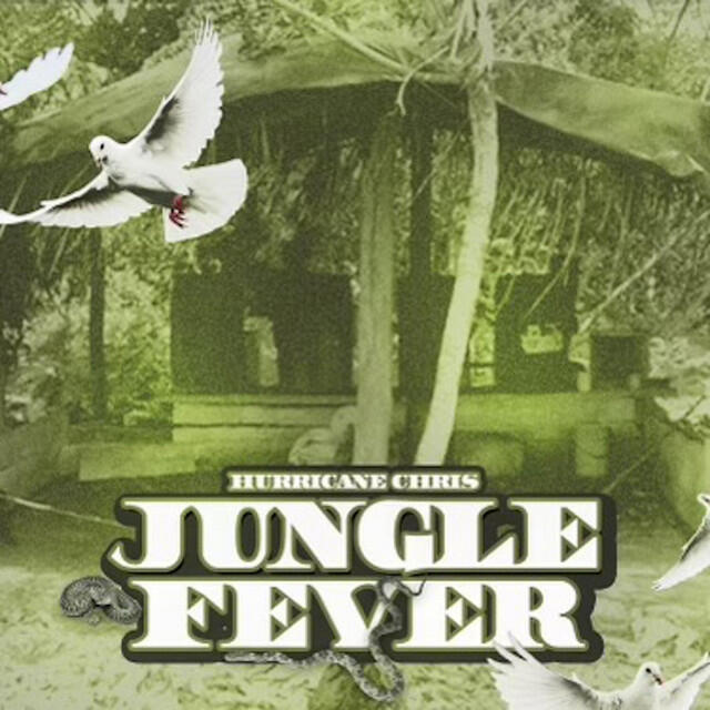 Релиз Jungle Fever