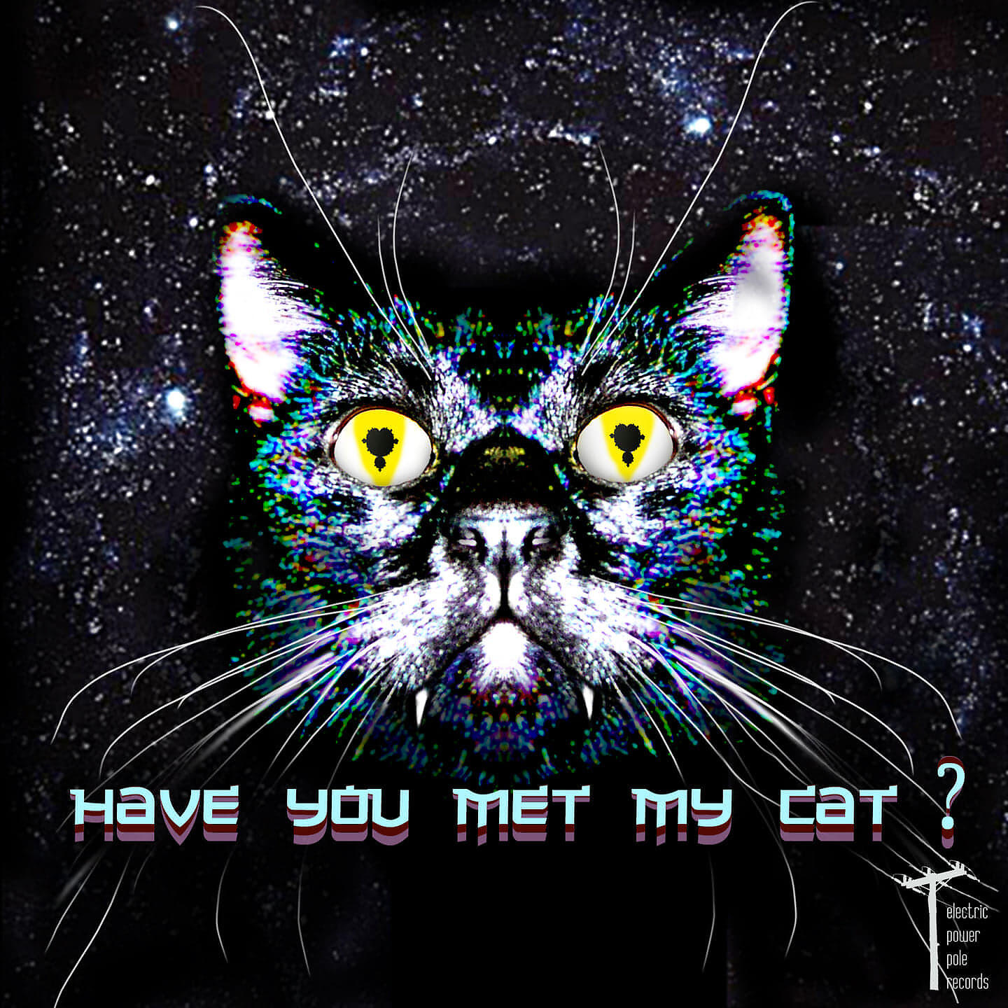 Релиз Have you met my cat?