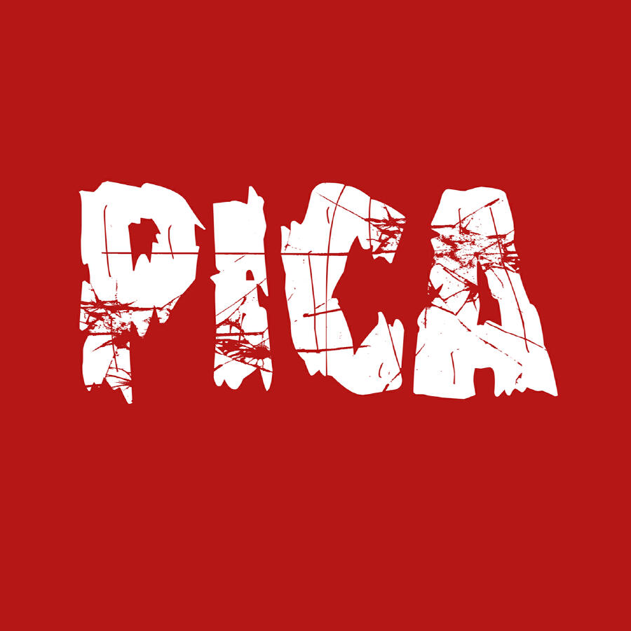 Релиз Pica