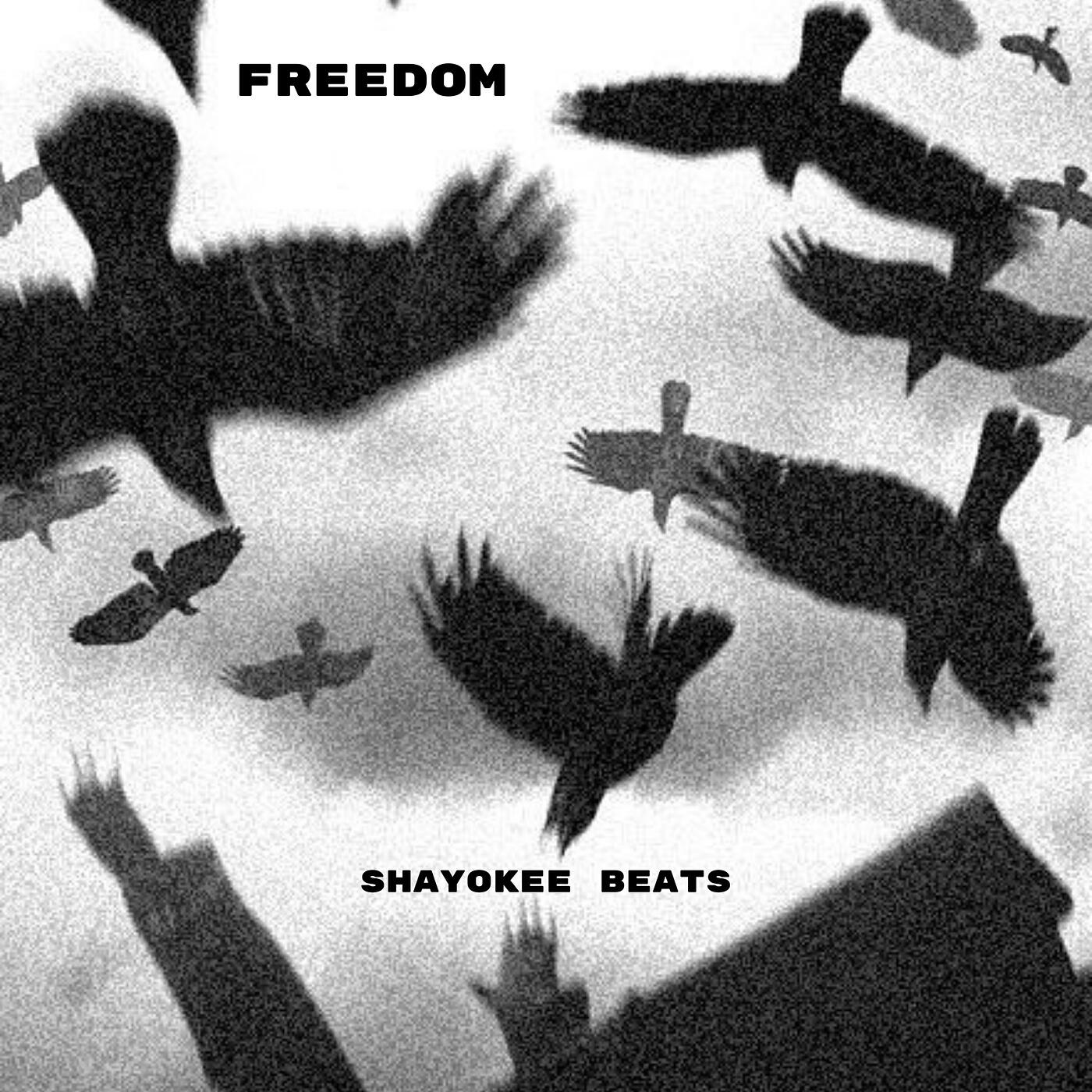 Релиз Freedom
