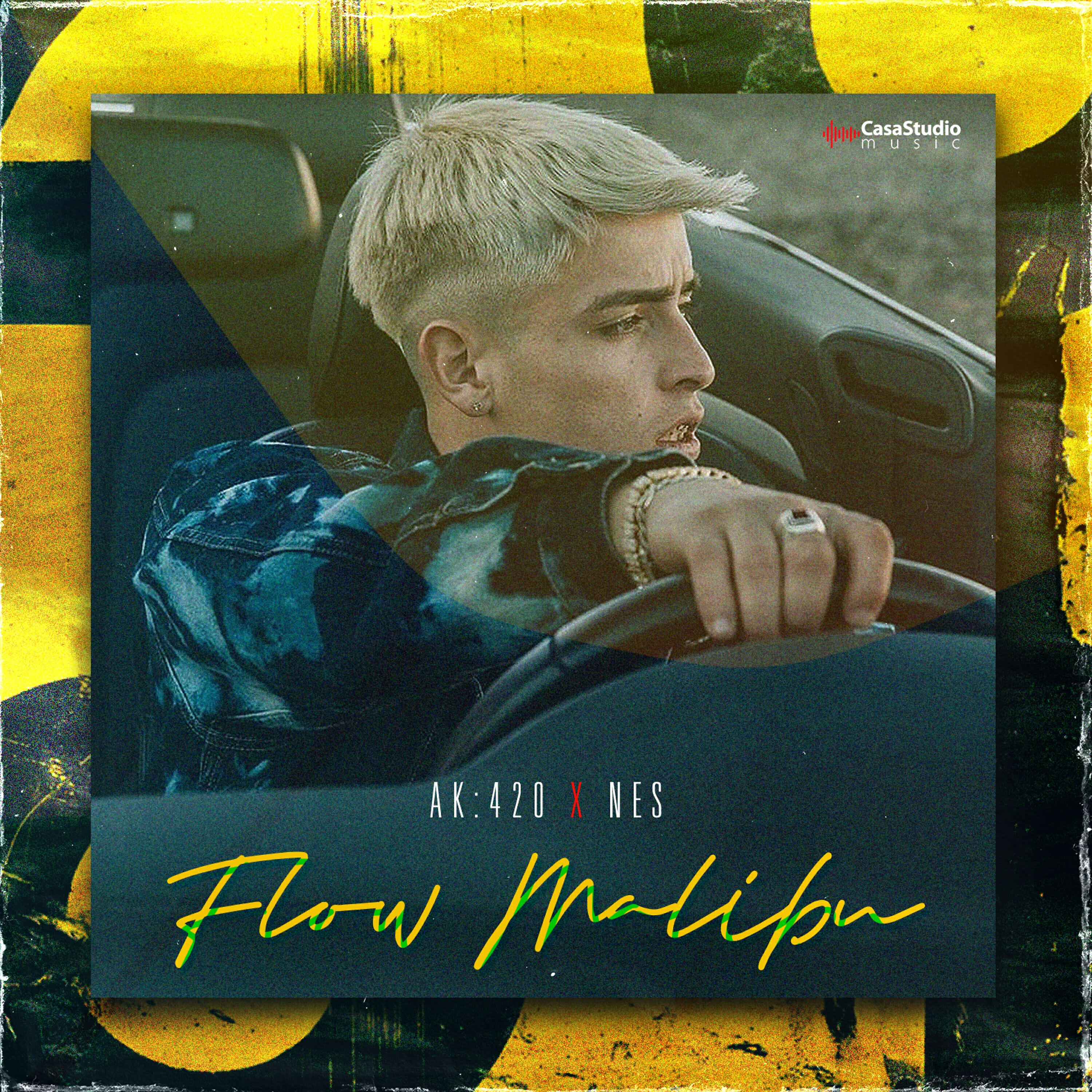 Релиз Flow Malibu