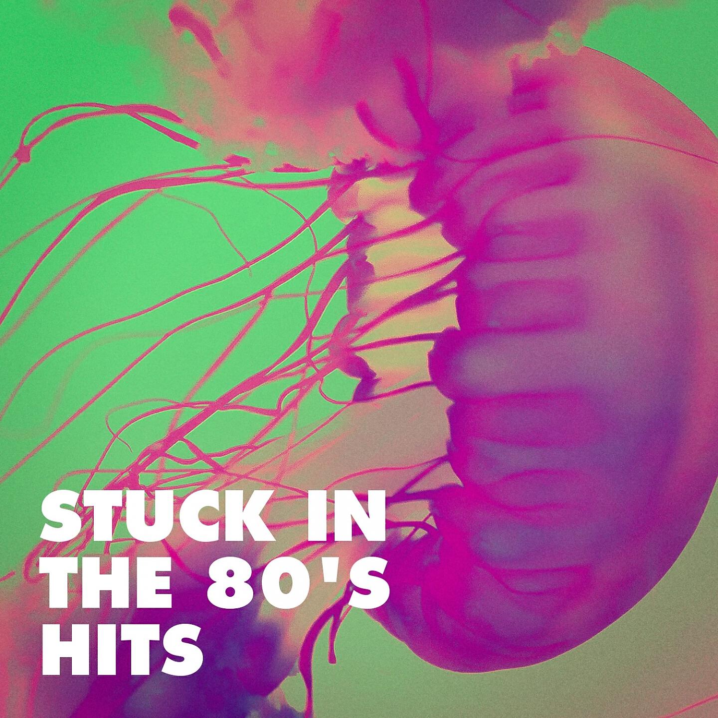 Релиз Stuck in the 80's Hits