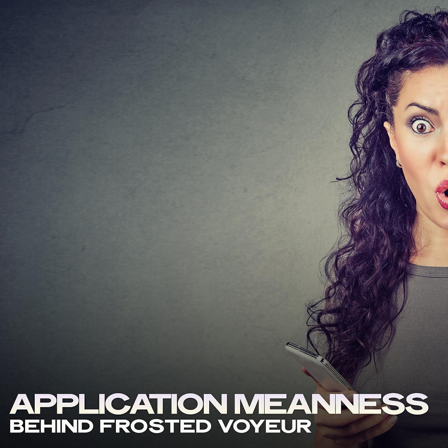 Релиз Application Meanness