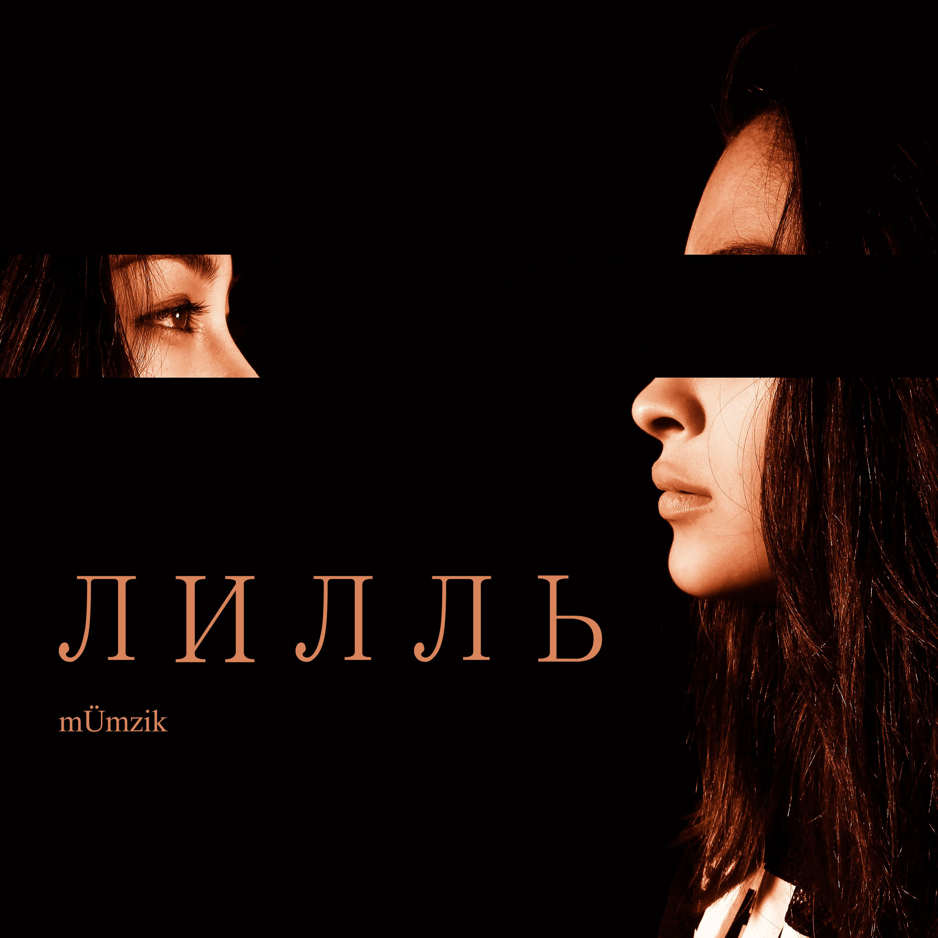 Релиз Лилль