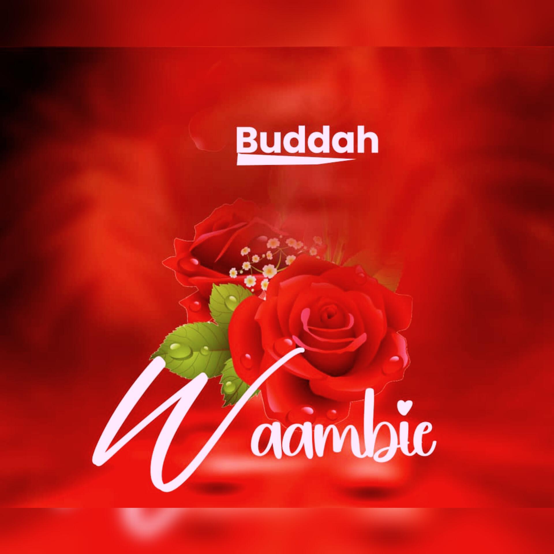 Релиз Waambie