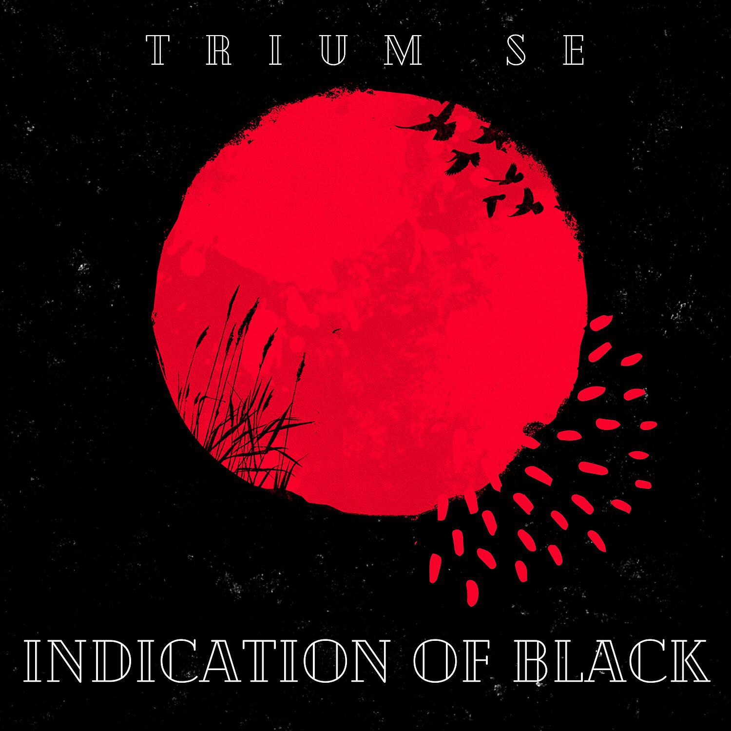 Релиз Indication of Black