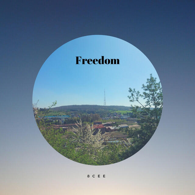Релиз Freedom