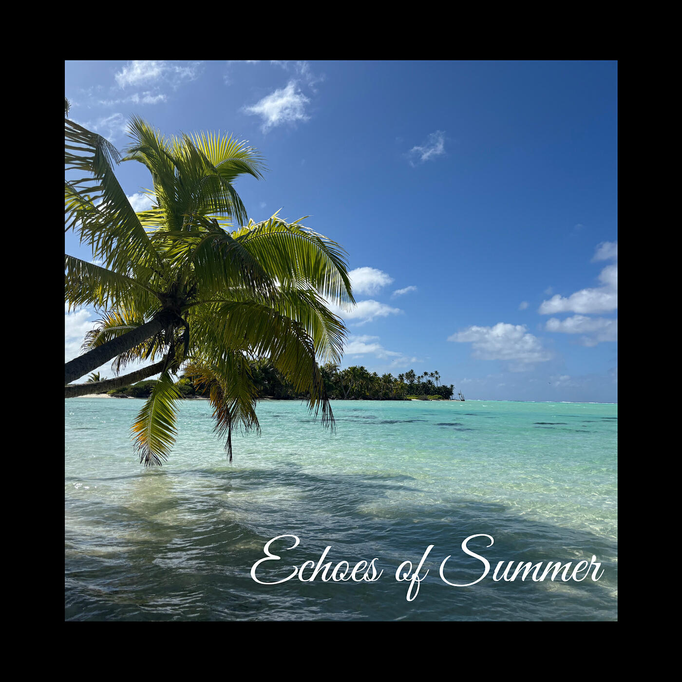 Релиз Echoes of Summer