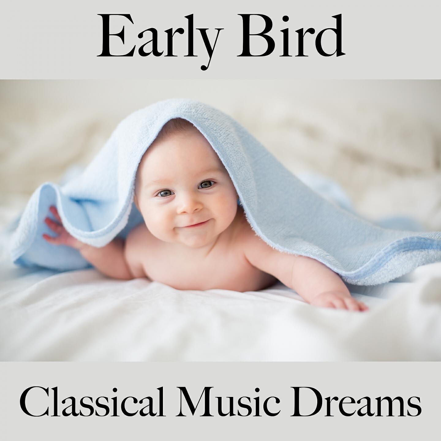 Релиз Early Bird: Classical Music Dreams - Die Beste Musik Zum Entspannen
