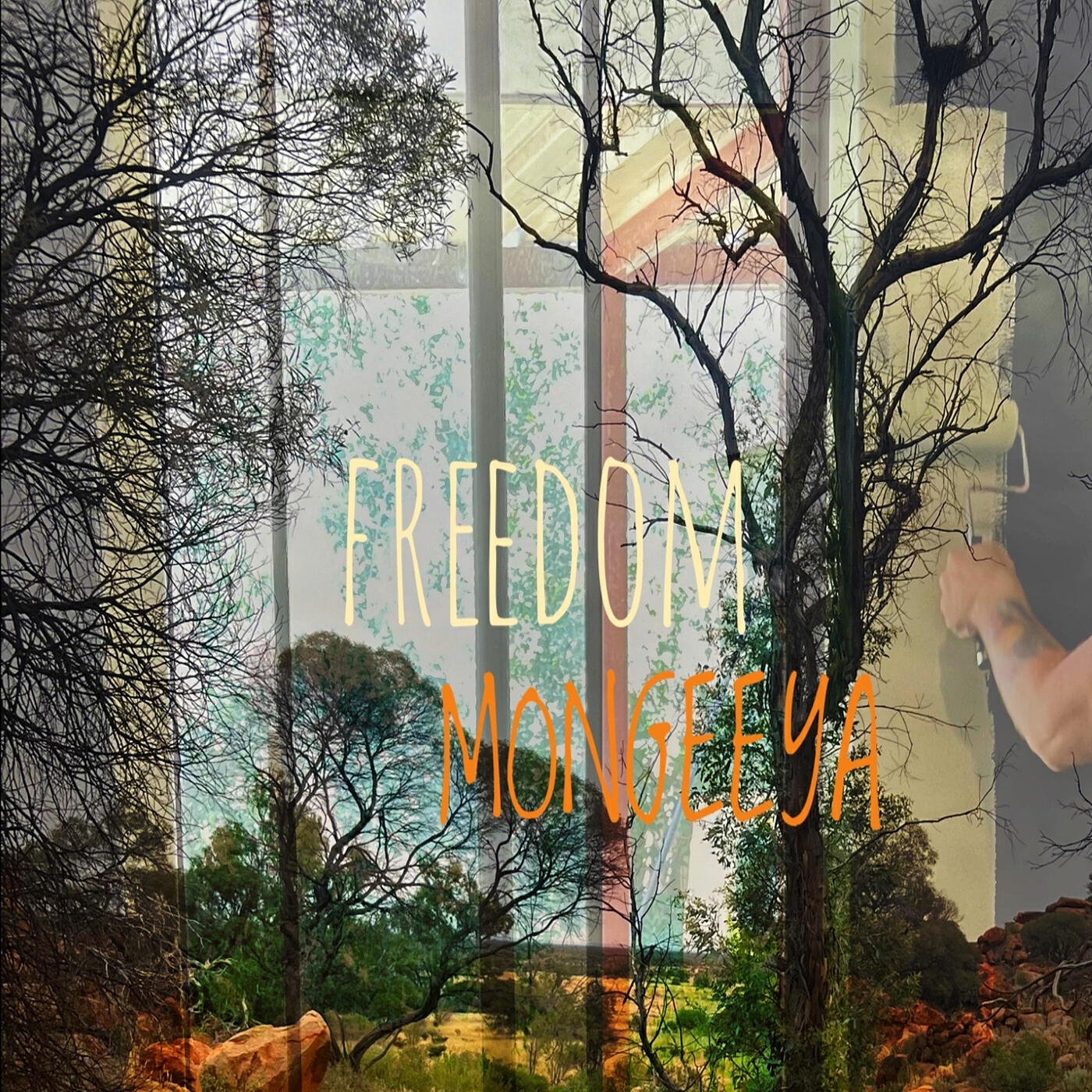 Релиз Freedom