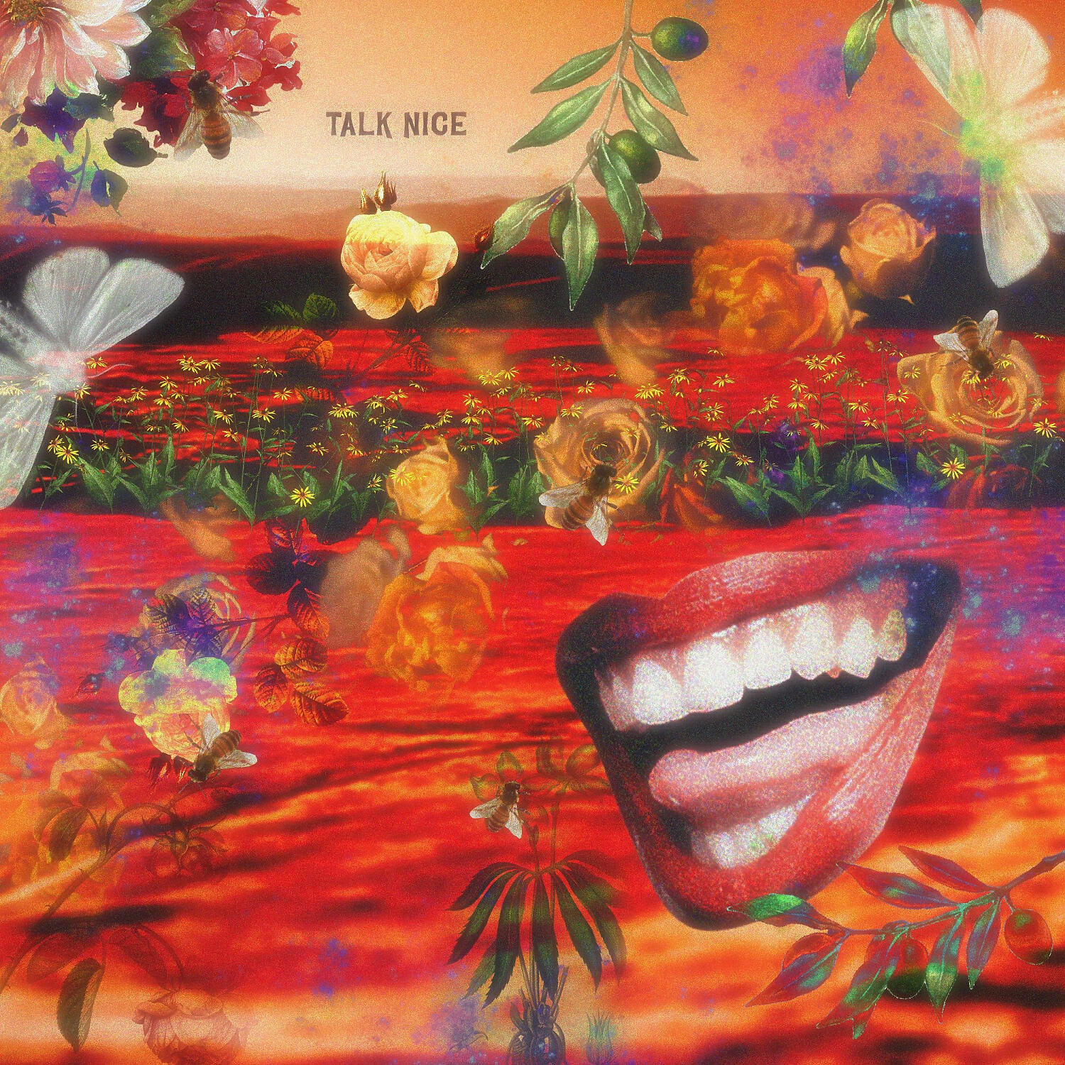 Релиз TALK NICE