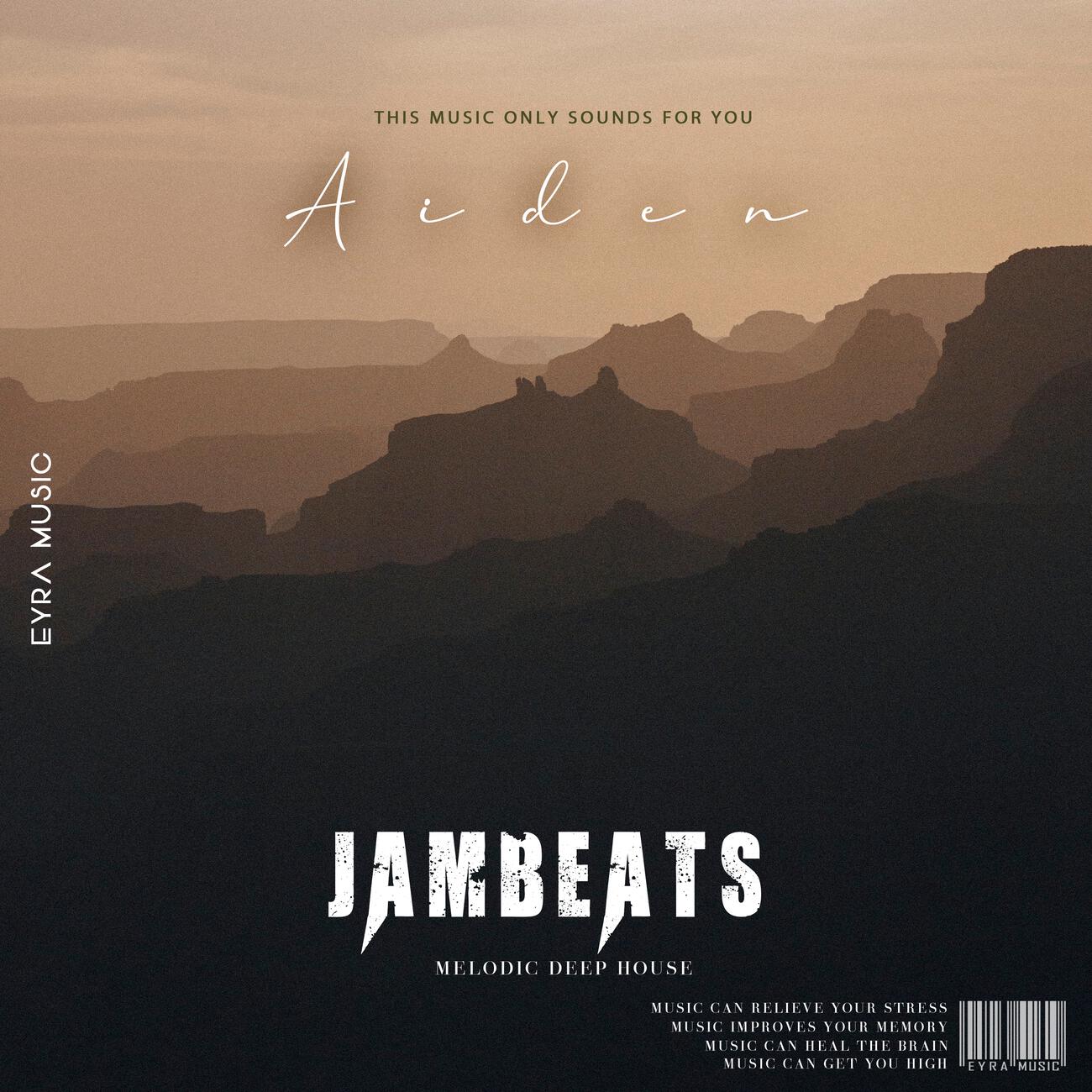 Релиз Aiden