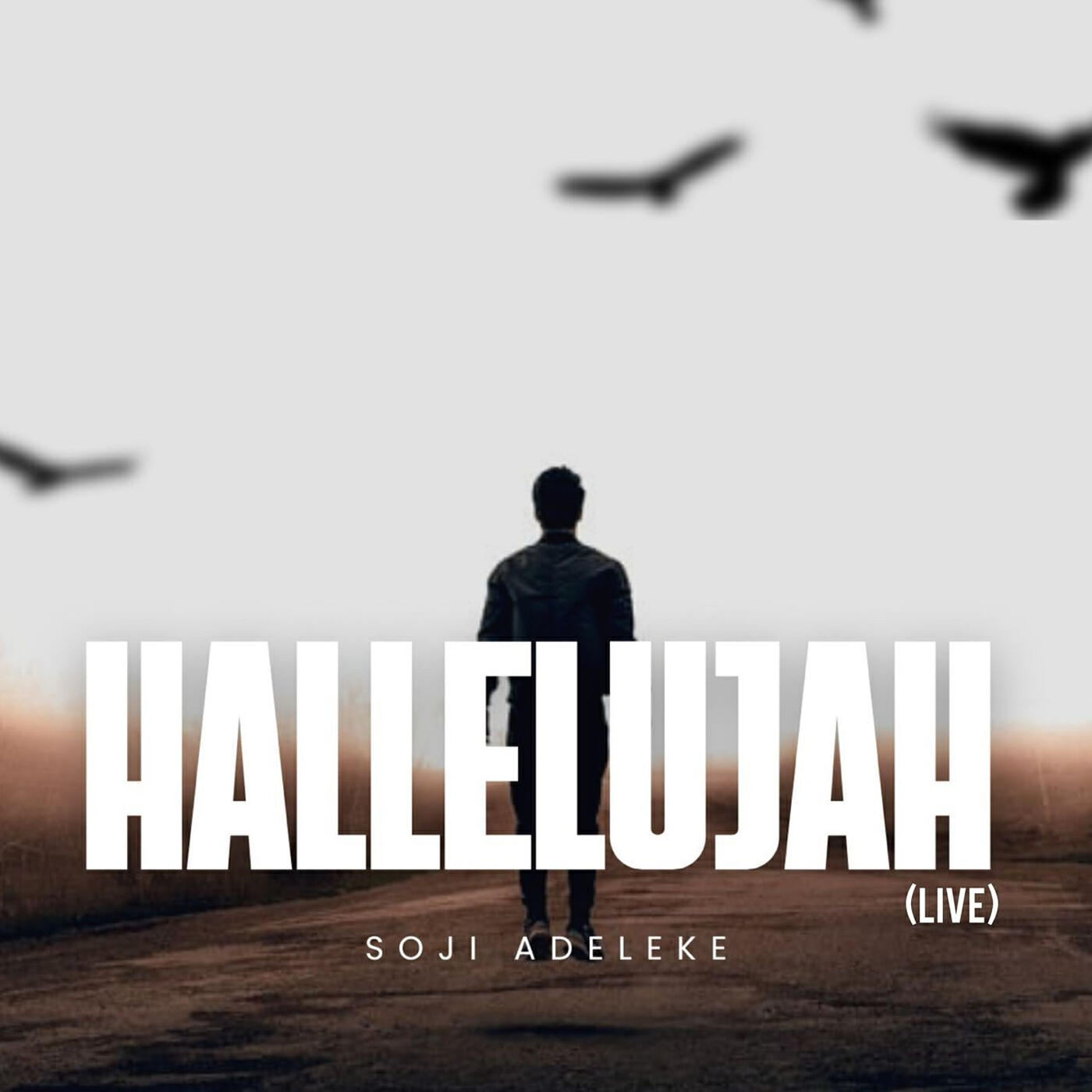 Релиз Hallelujah (Live)