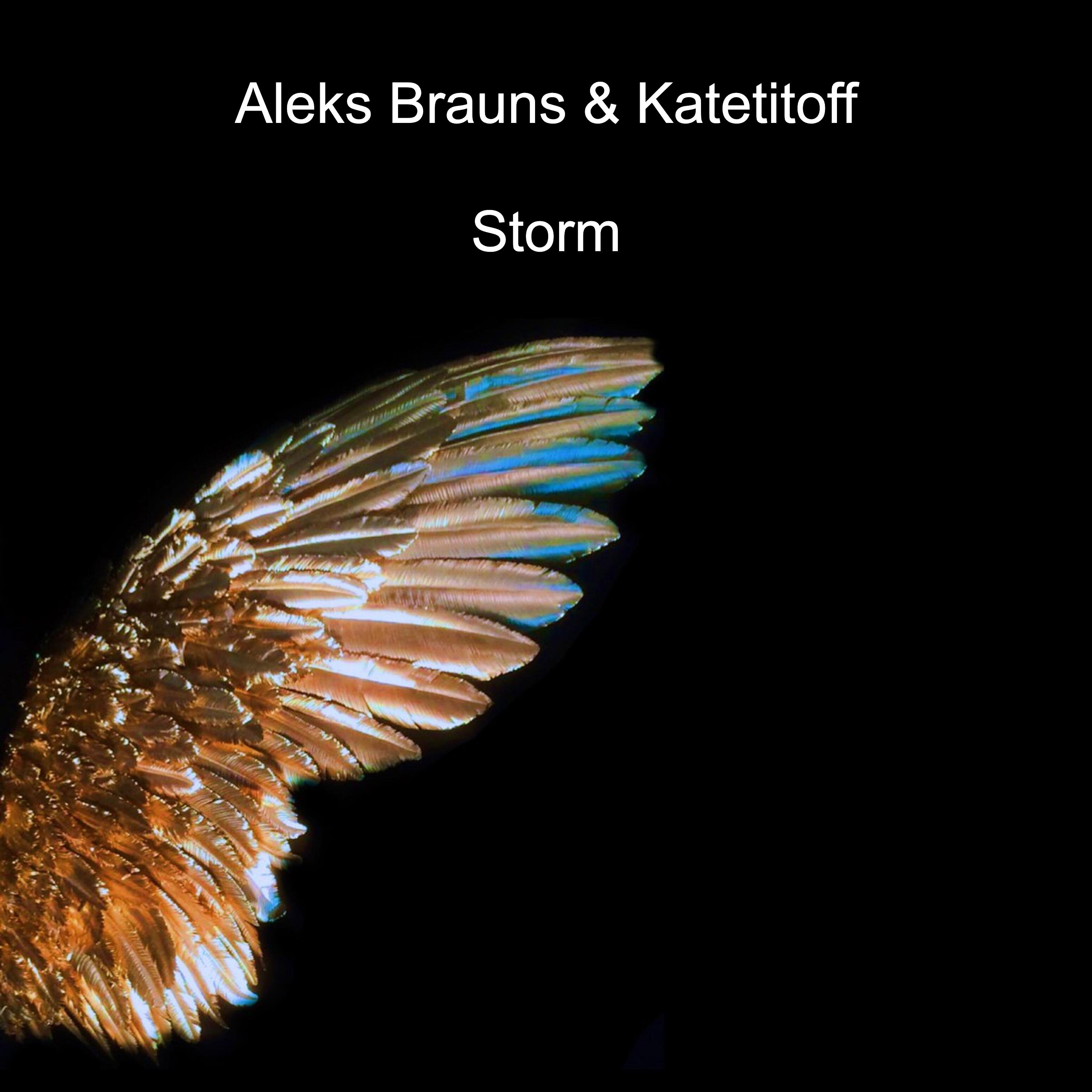 Релиз Storm