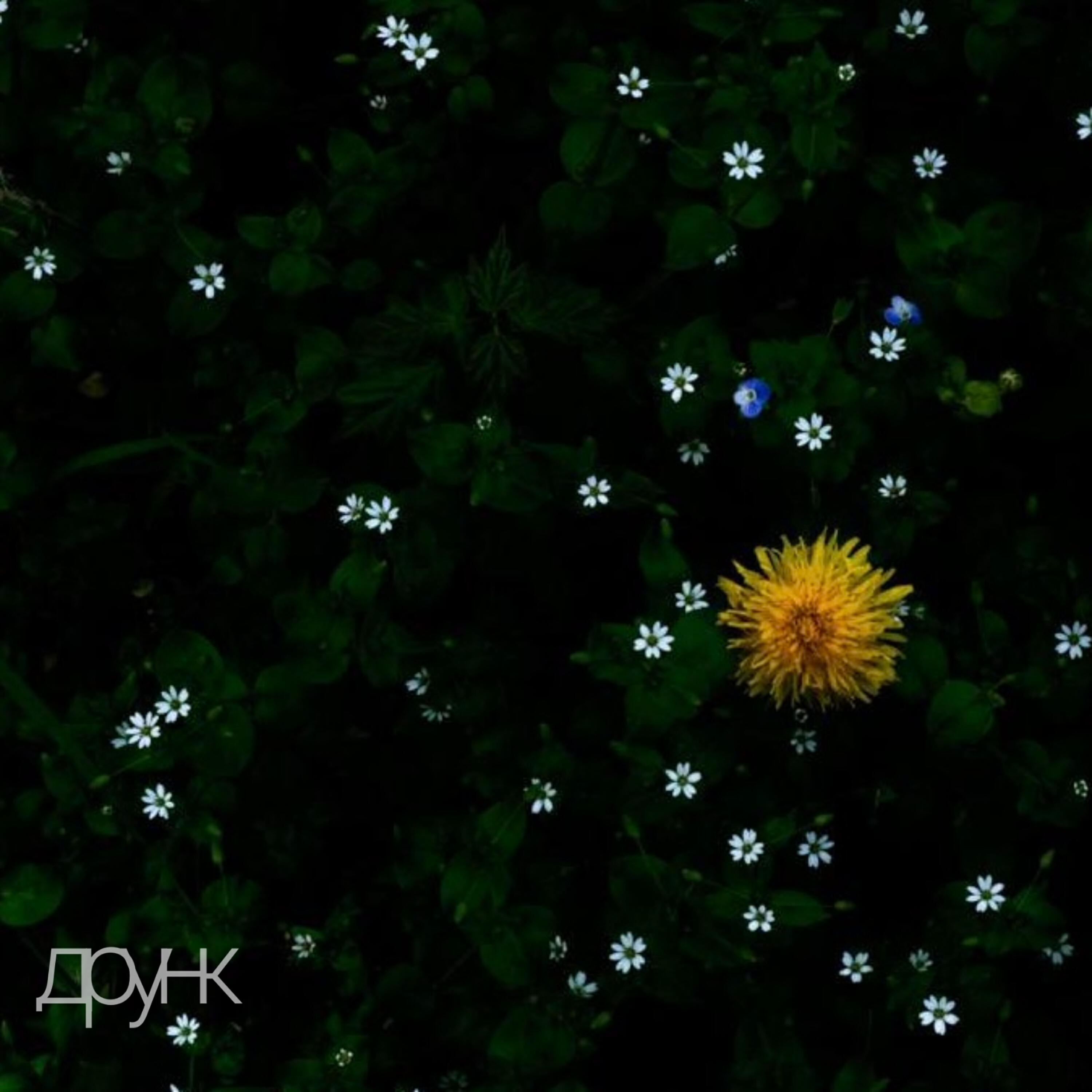 Релиз Хочу сказать