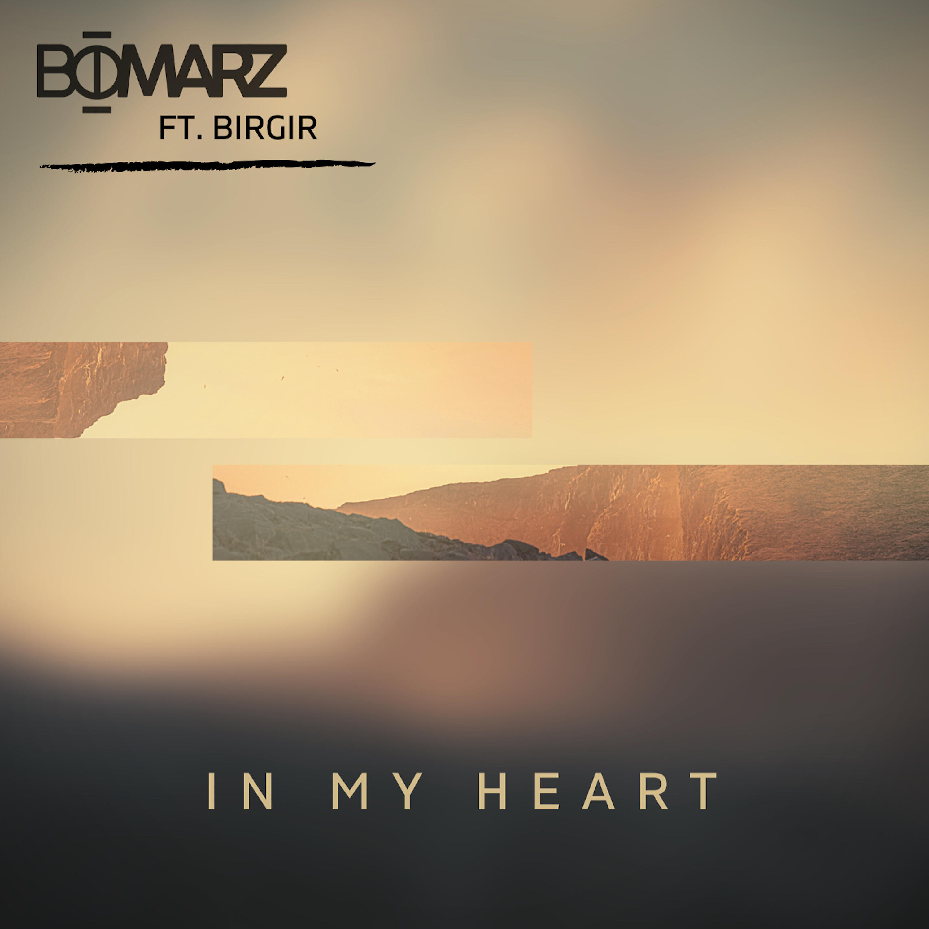 Релиз In My Heart (with Birgir)