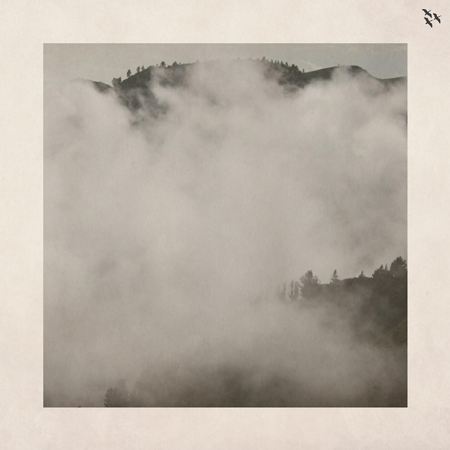 Релиз Buteo EP