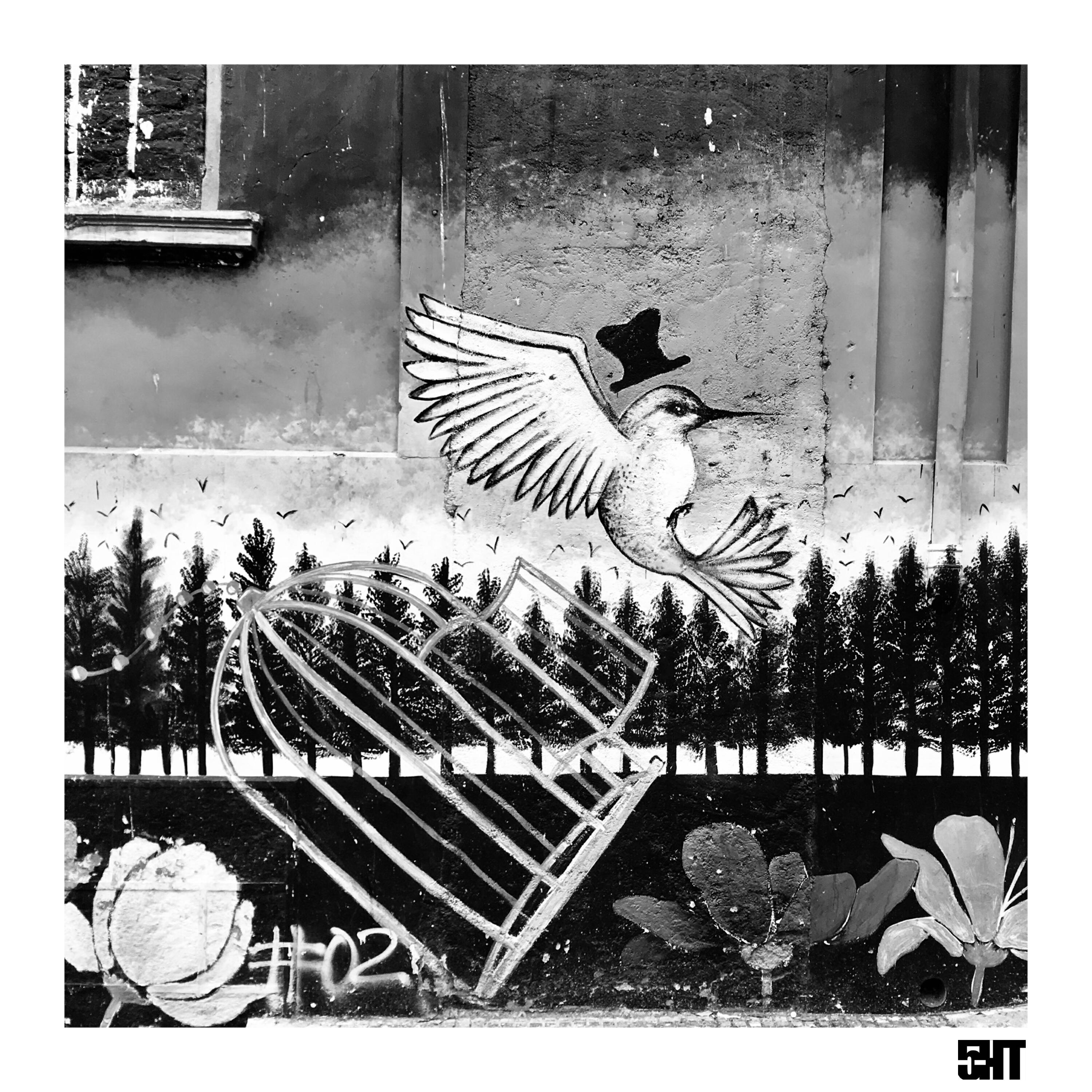 Релиз birds