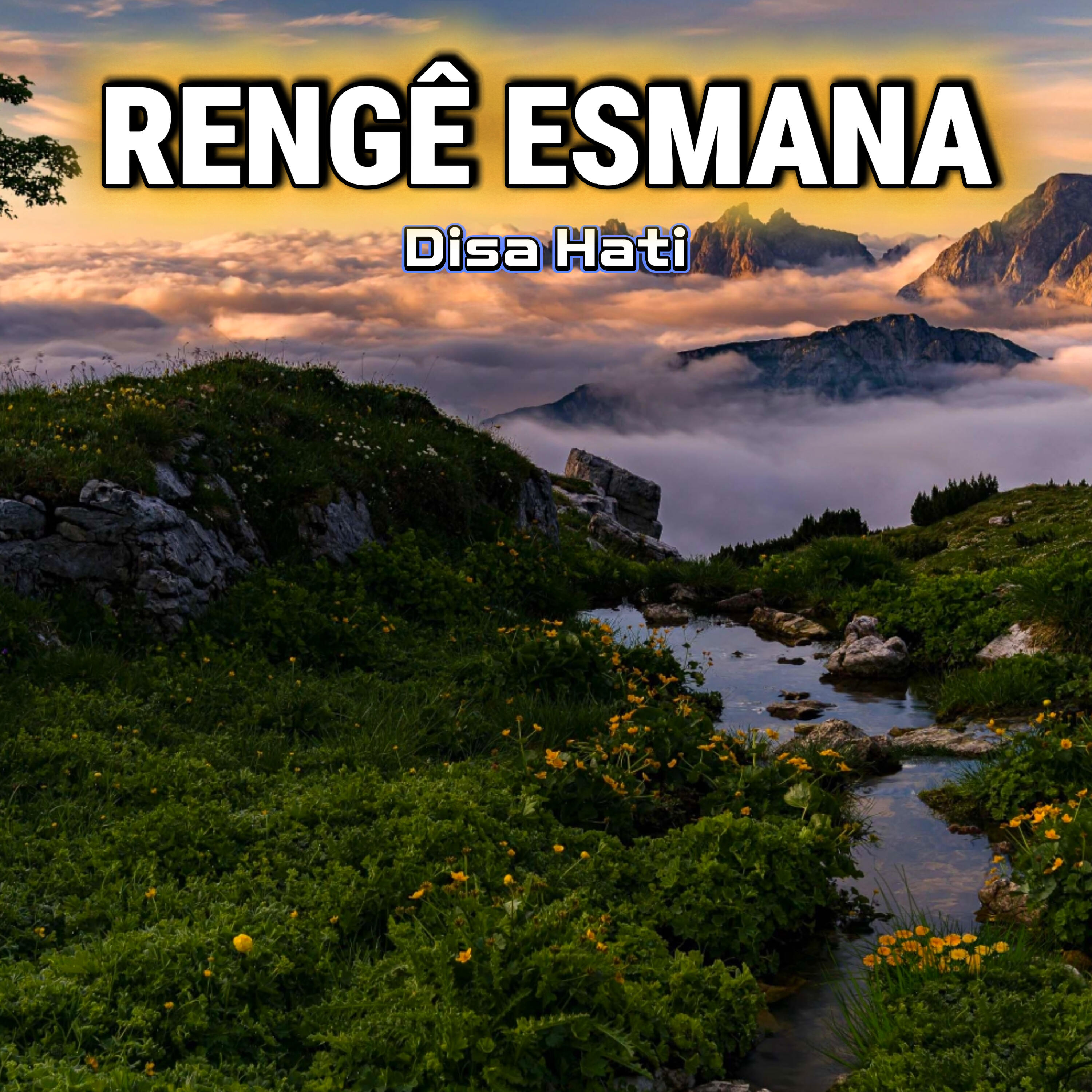 Релиз Disa Hati