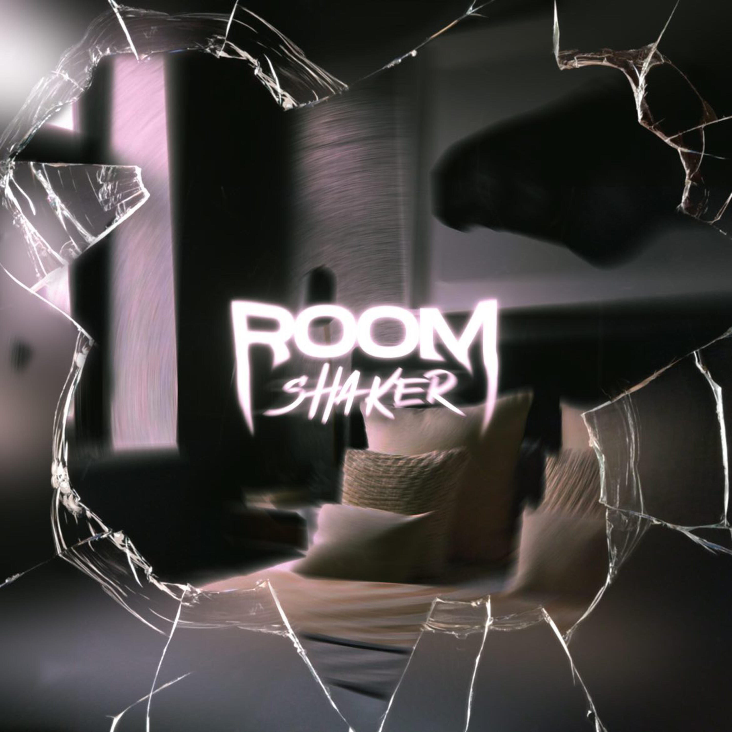 Релиз Roomshaker