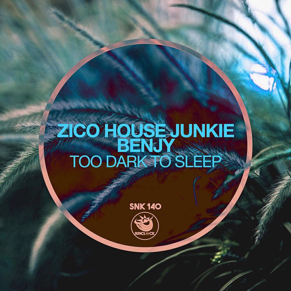 Релиз Too Dark To Sleep