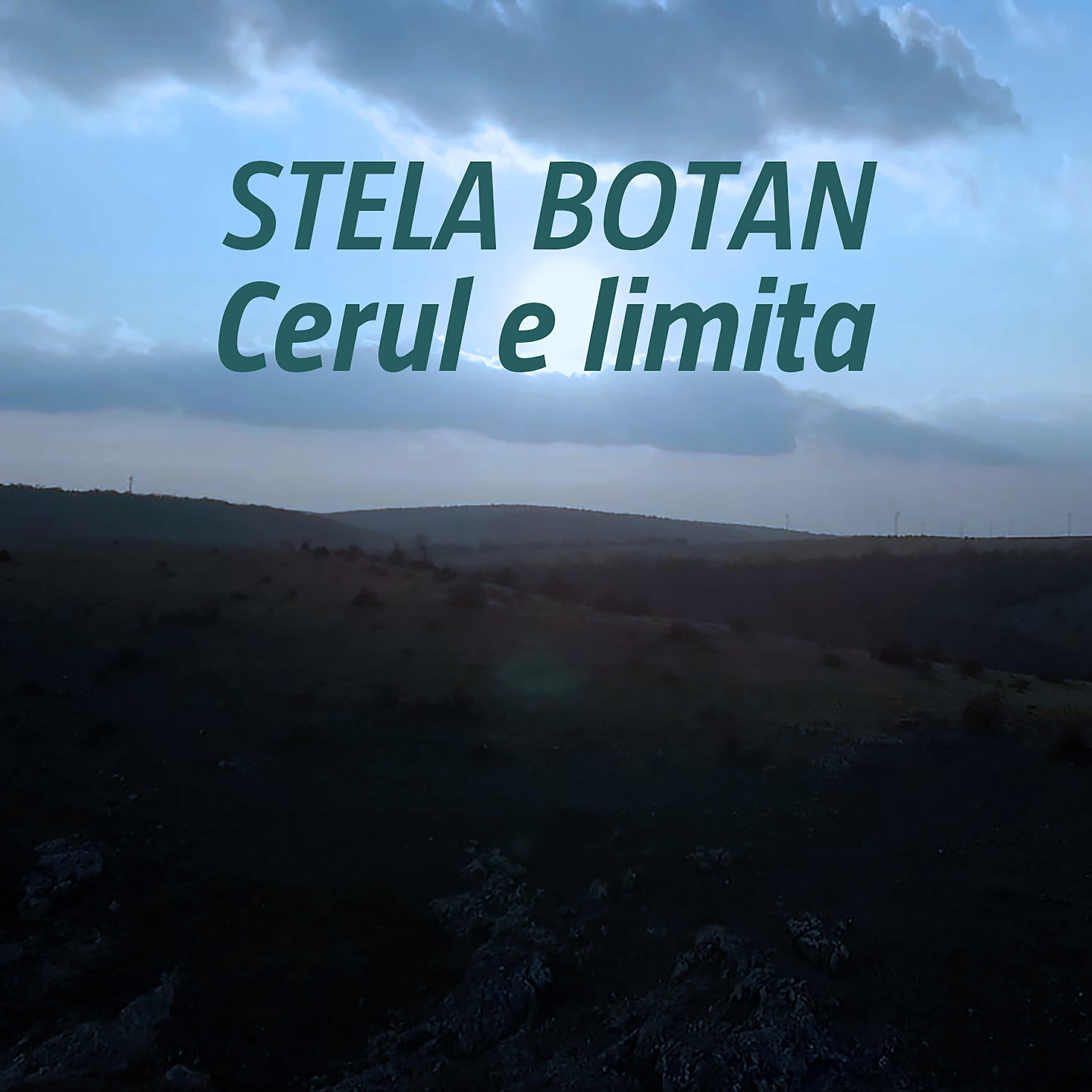 Постер альбома Cerul e limita