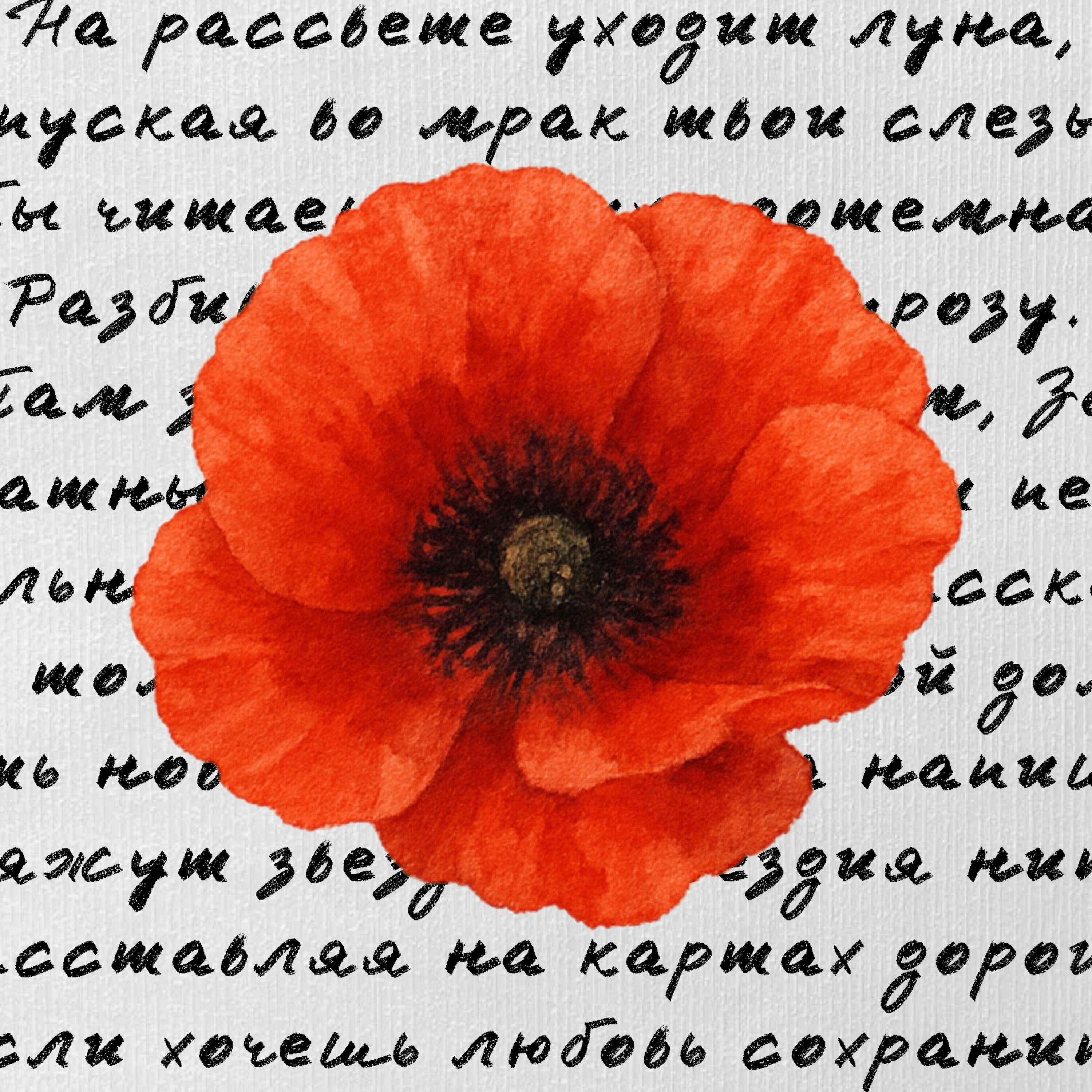 Релиз Мак
