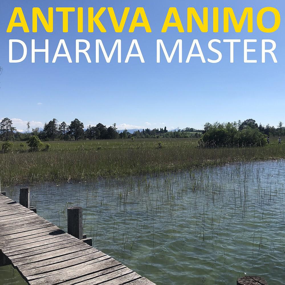 Релиз Dharma Master