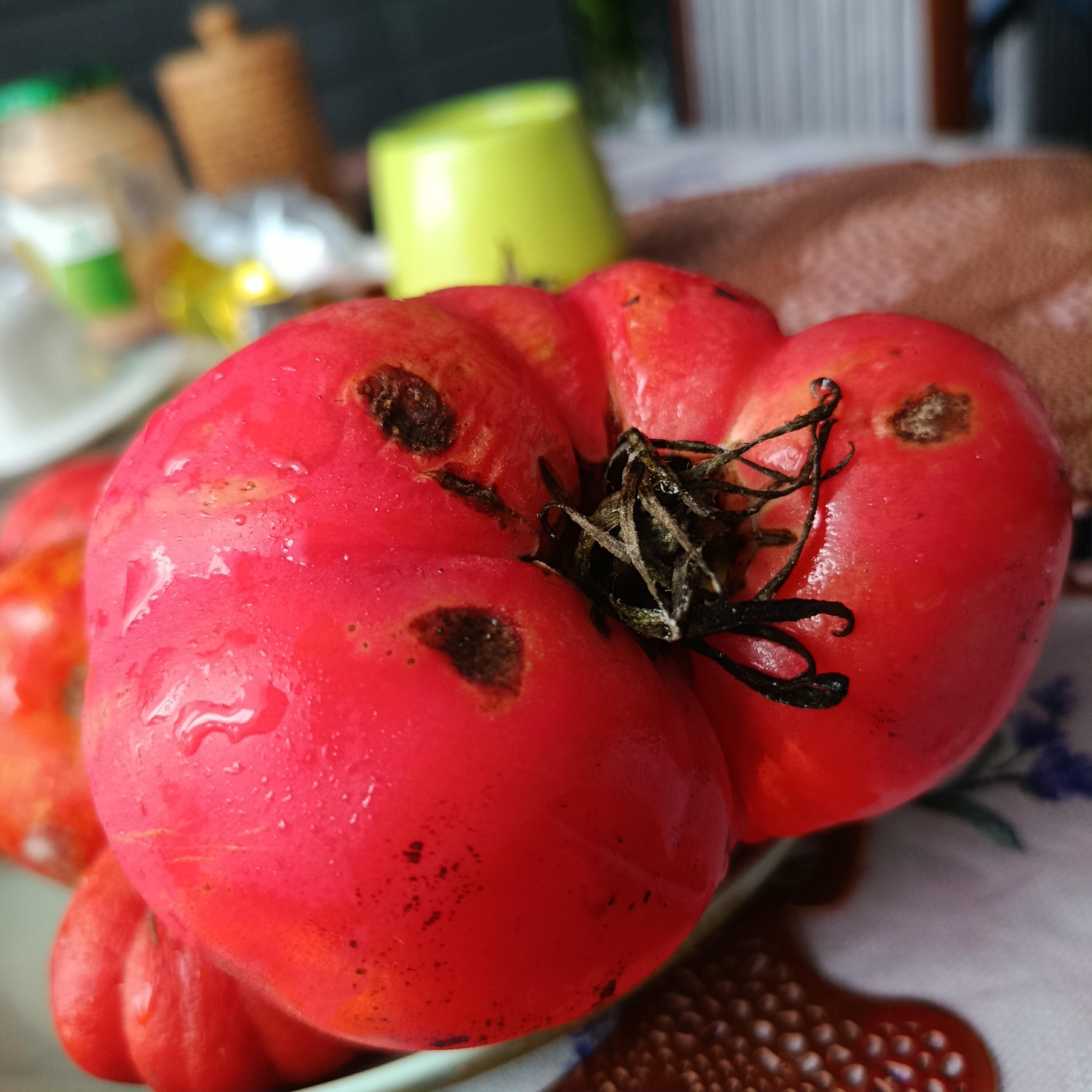 Релиз MALQY