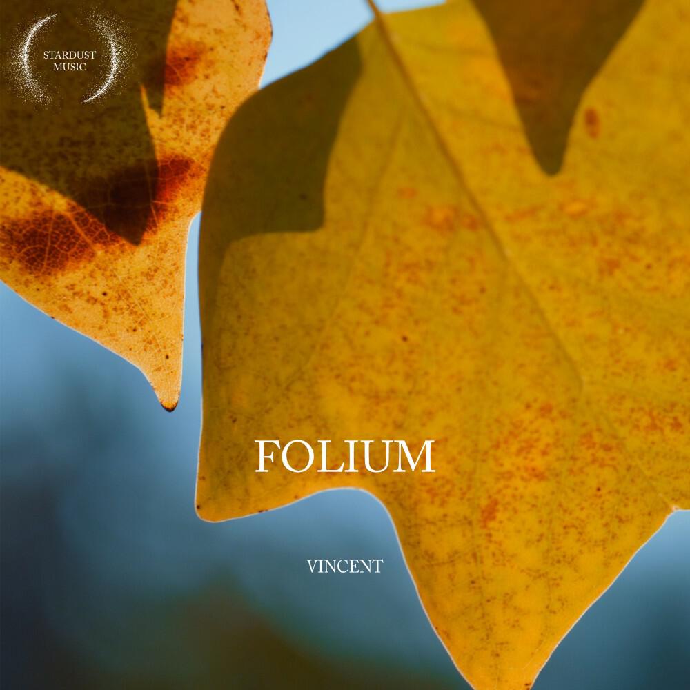Релиз Folium