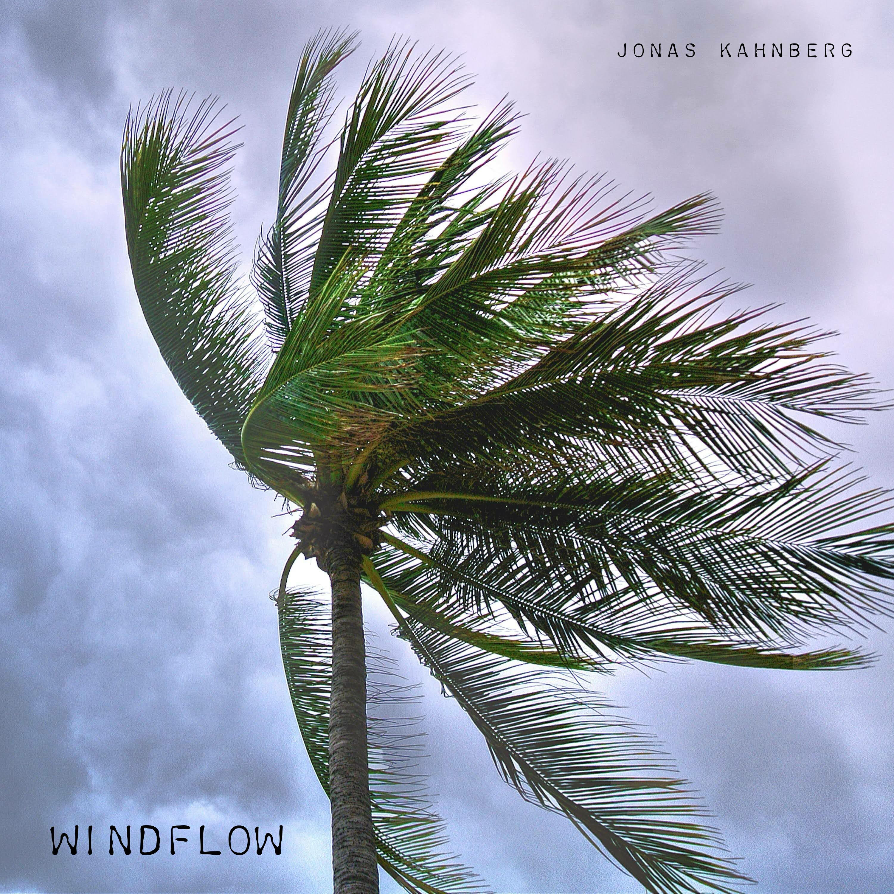 Релиз Windflow
