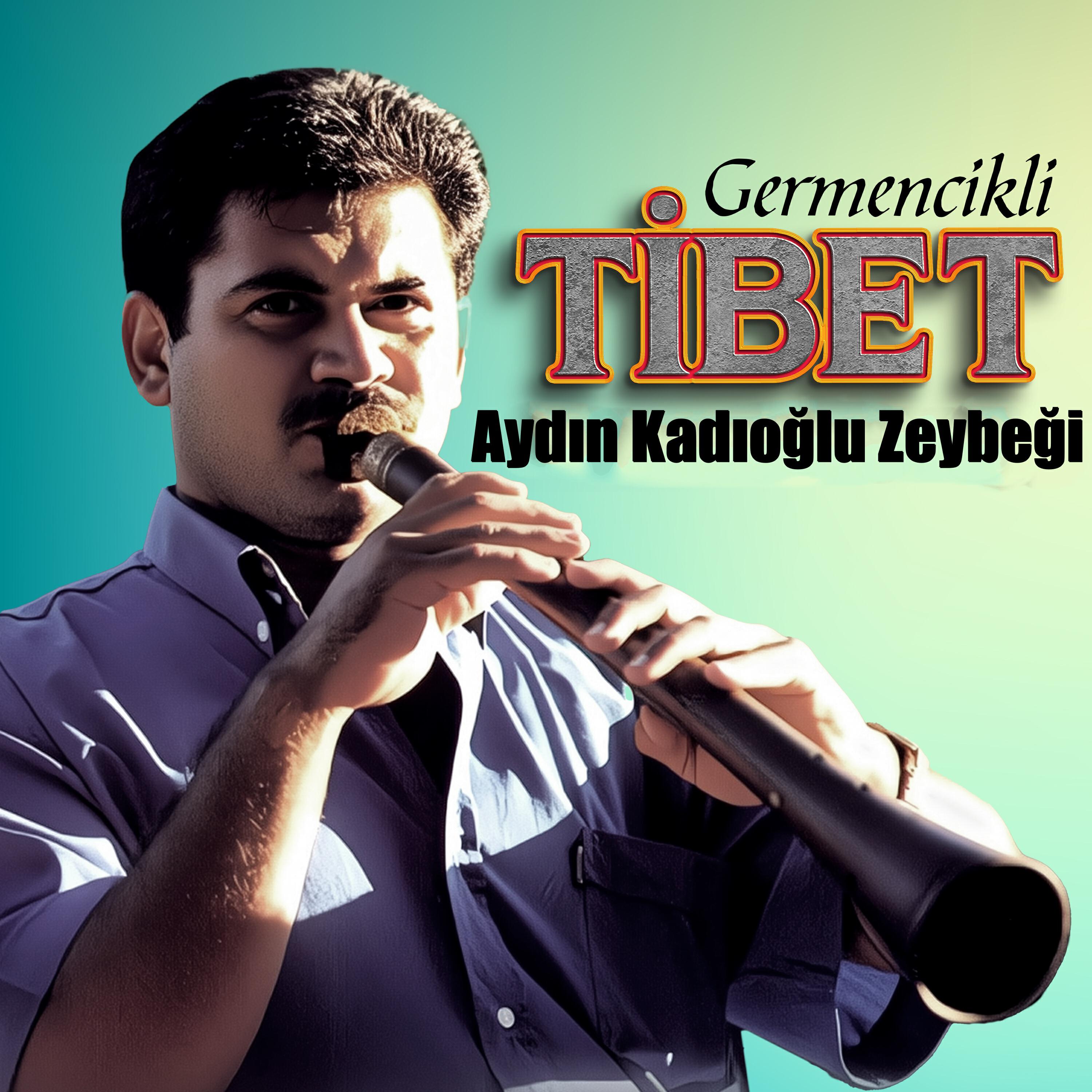 Релиз Aydın Kadıoğlu Zeybeği