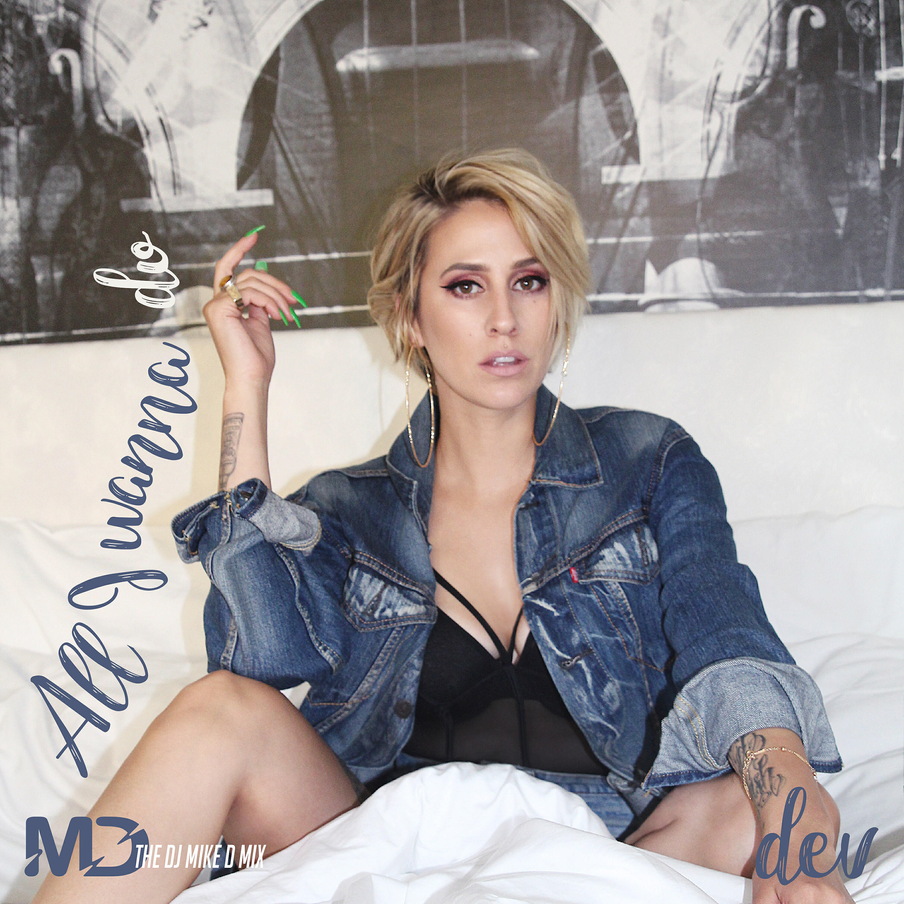 Релиз All I Wanna Do (DJ Mike D Mix)