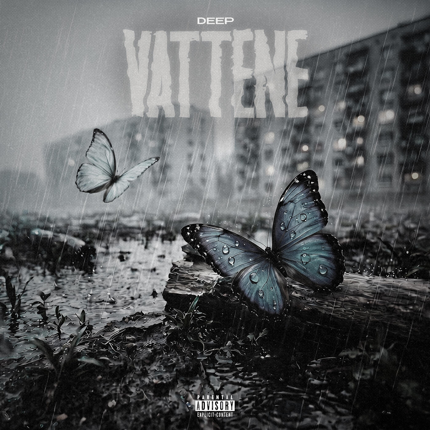 Релиз VATTENE