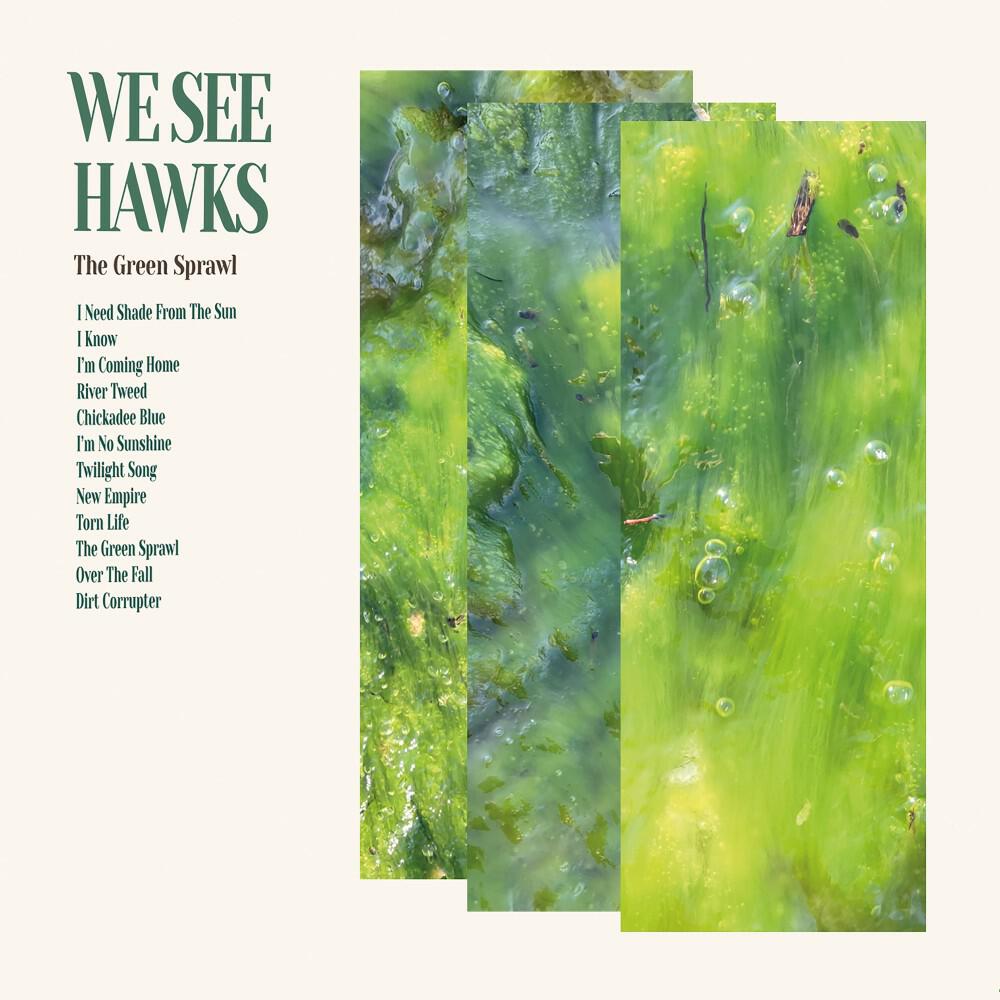 We See Hawks
