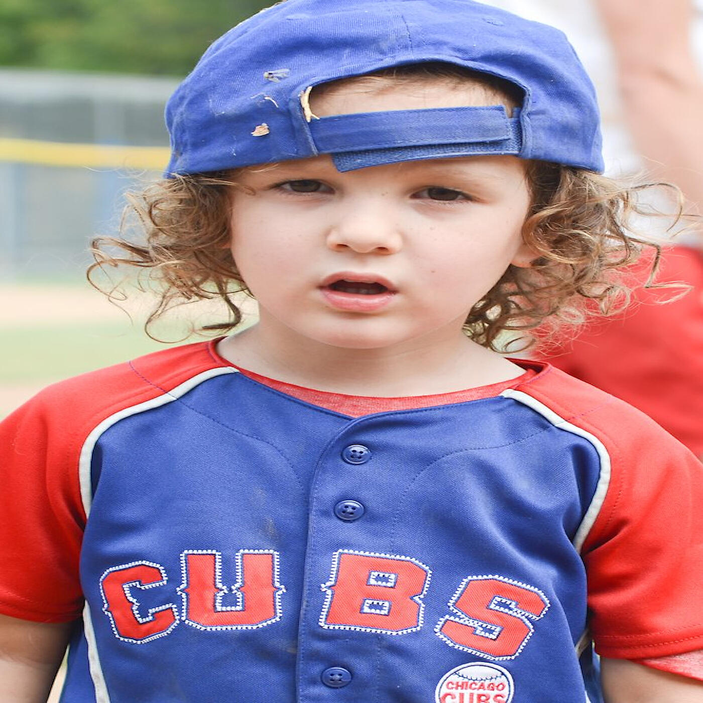 Релиз Cubs, Cubs, Cubs!!!