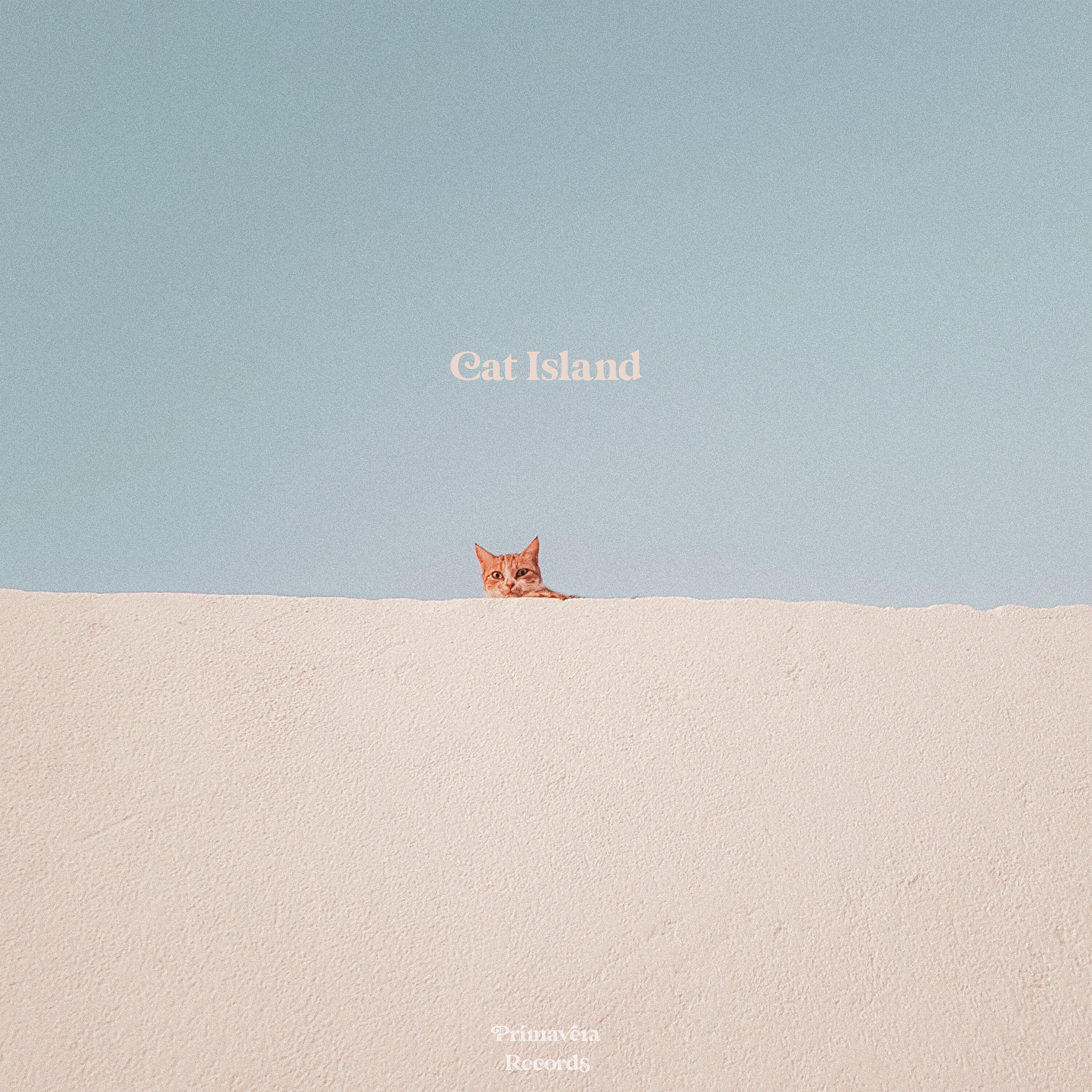 Релиз Cat Island