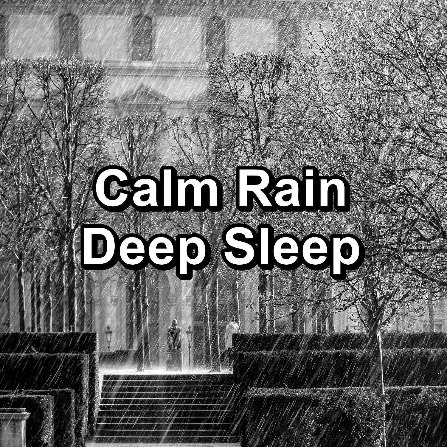 Релиз Calm Rain Deep Sleep